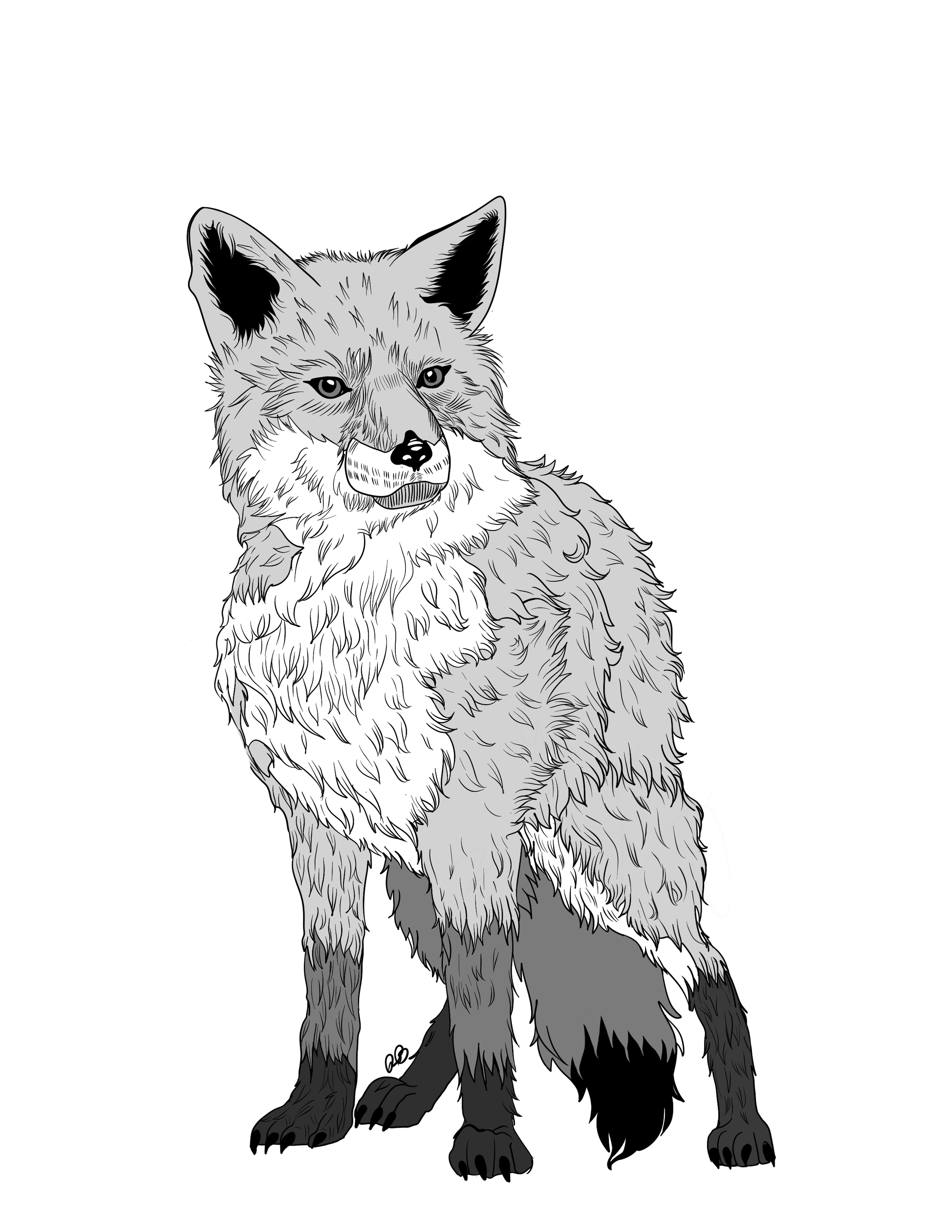 Fox.png