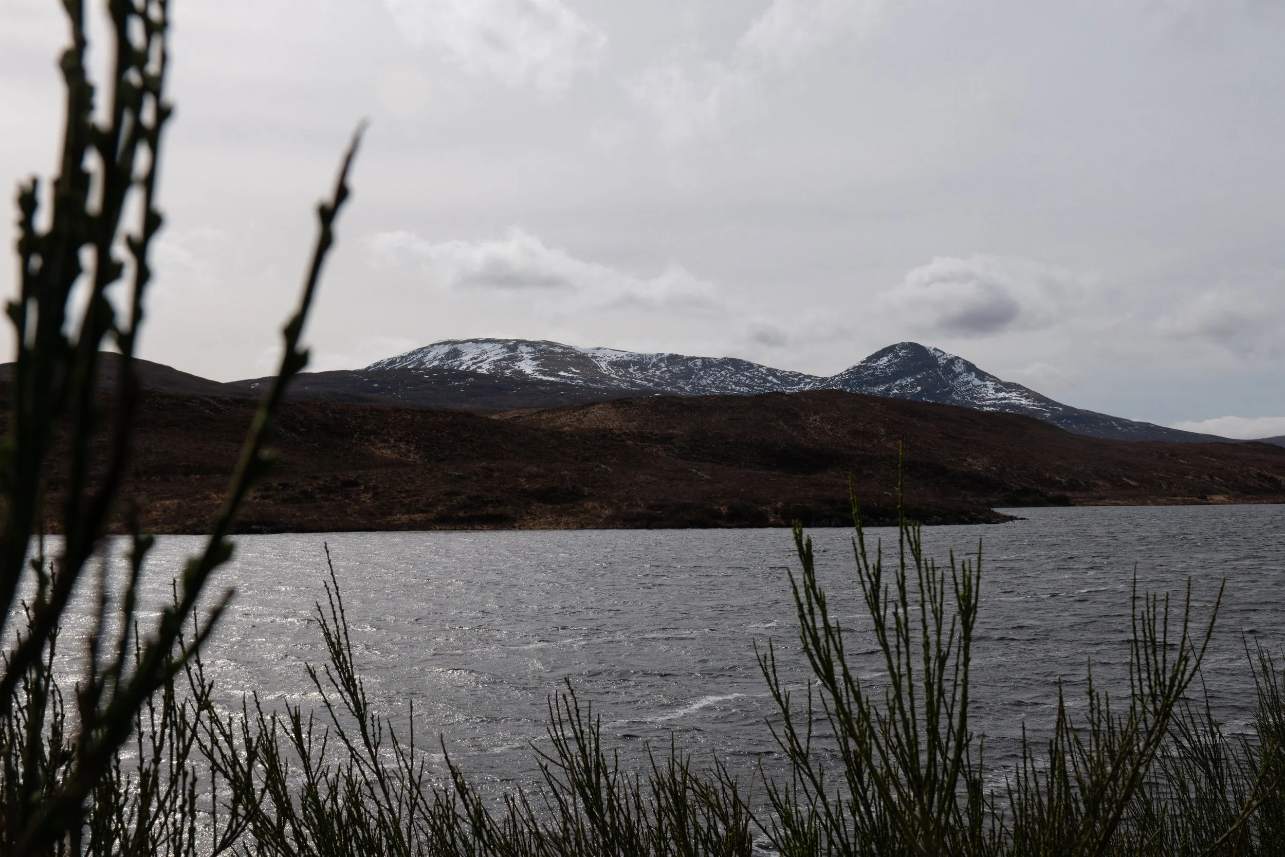 KS1_3395.jpg