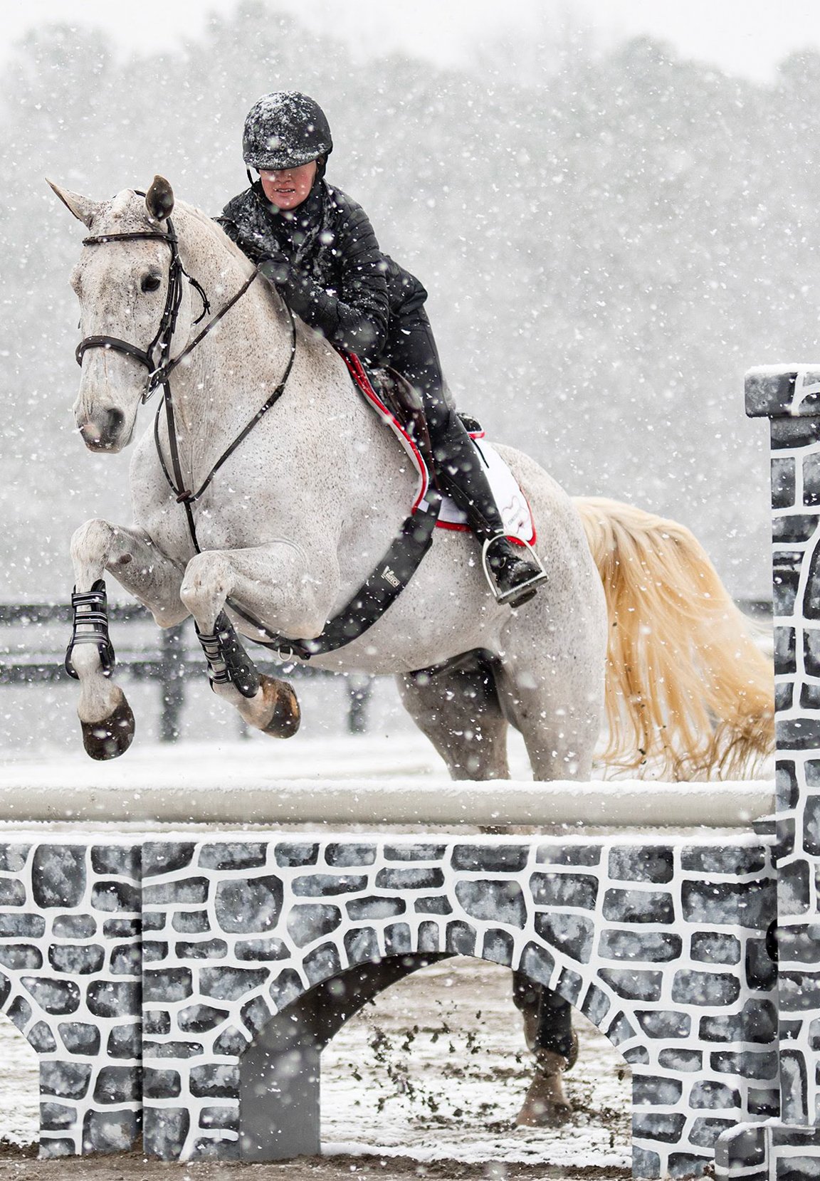 200208_ks_EquestrianvsAU_0026.jpg