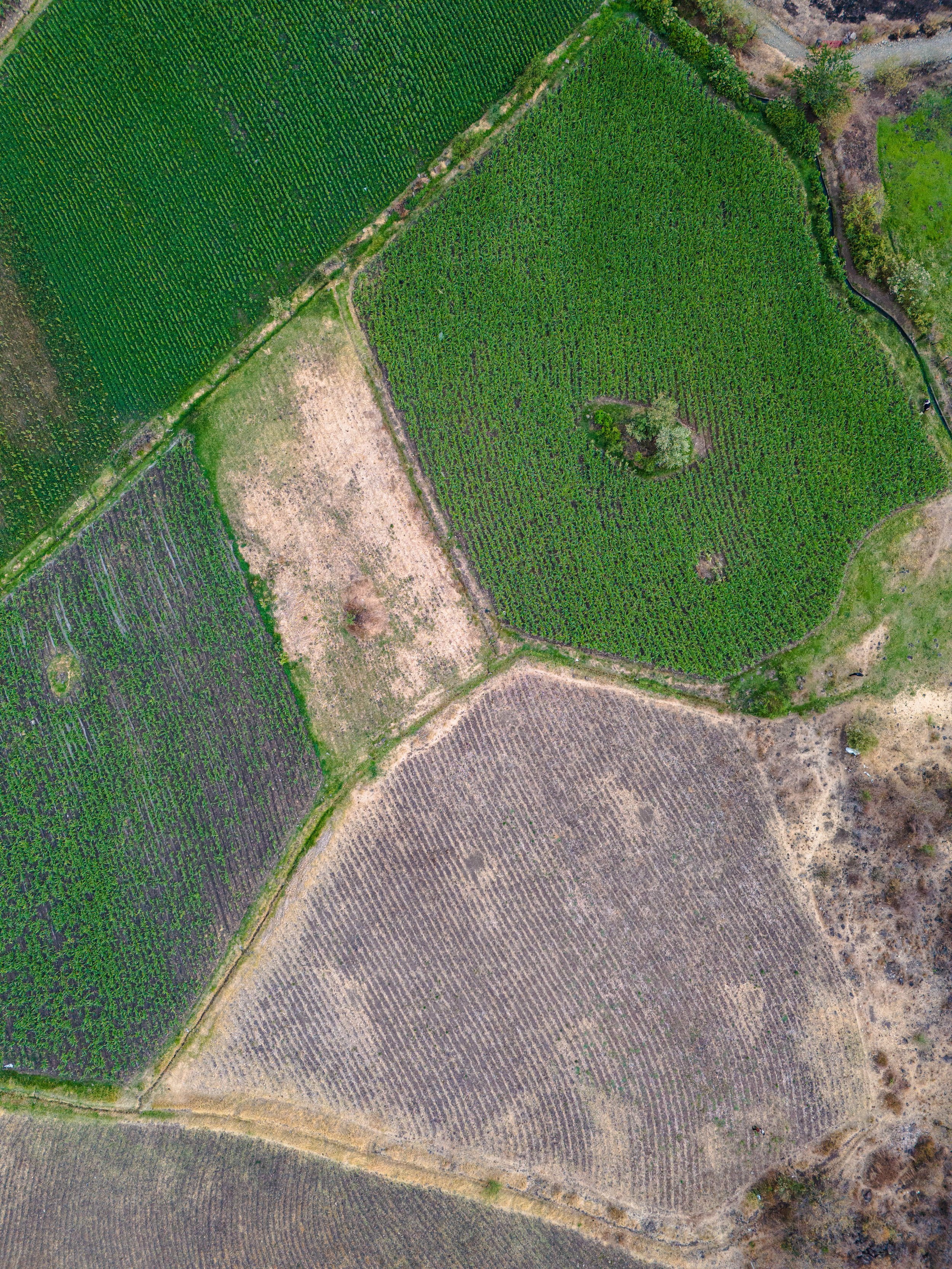 Malinalco_DJI_20240614191717_0140_D.jpeg