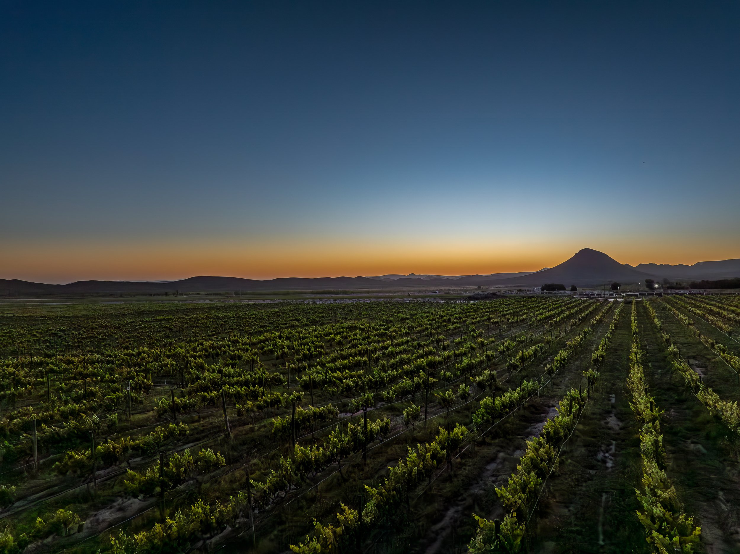 Parras_DJI_0247.jpg