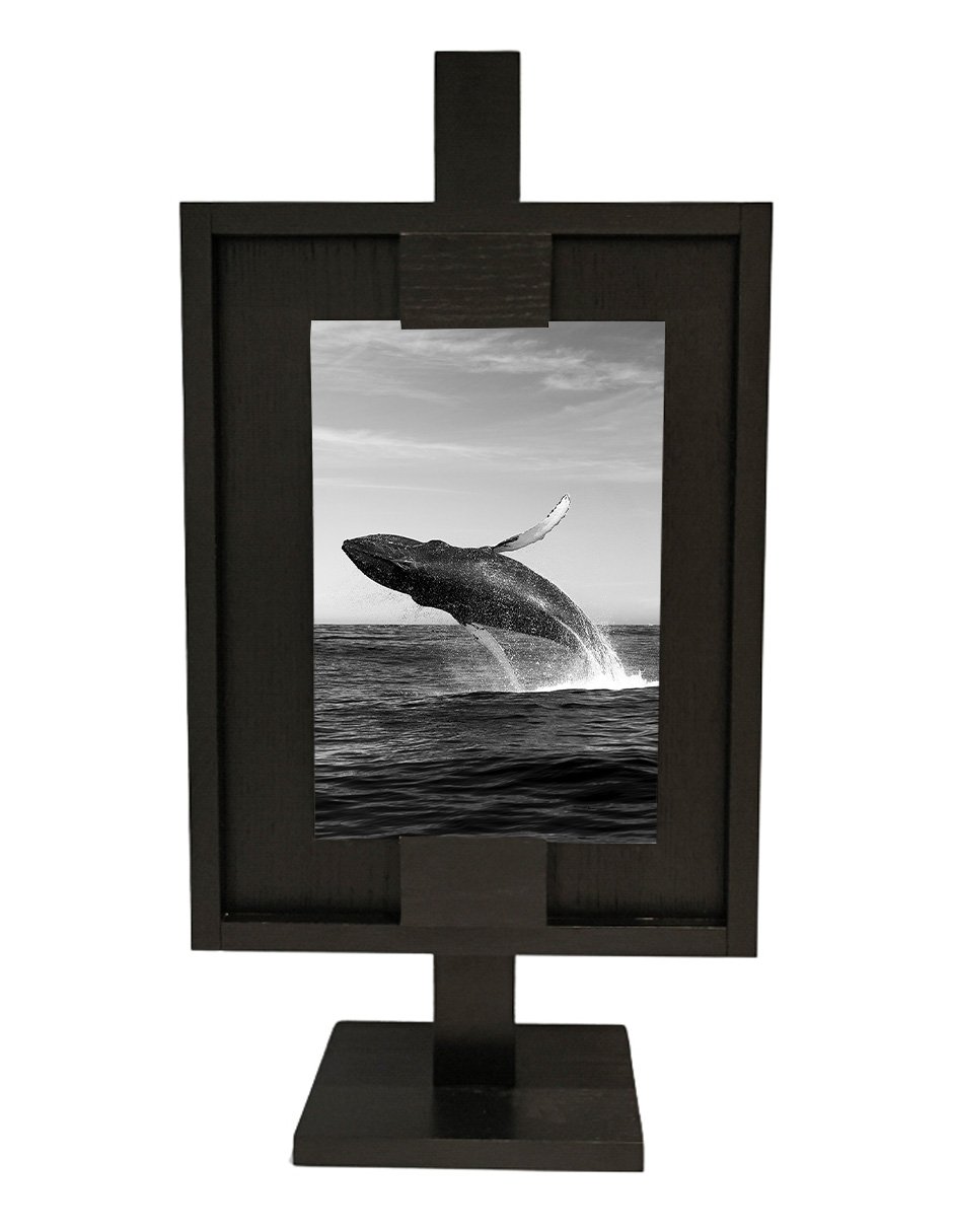 Canvas Paralelo Humpback Whale Spectacle
