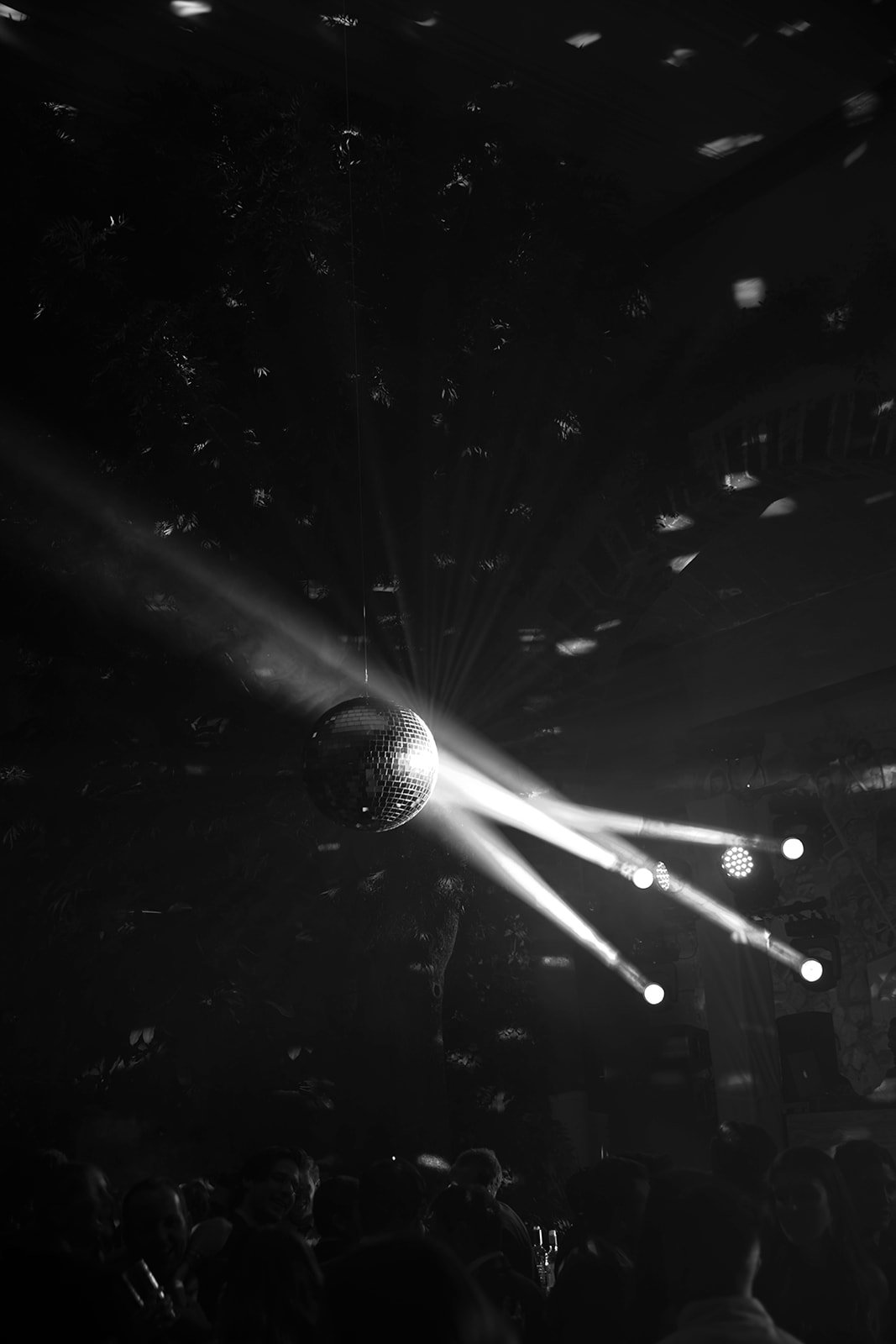0F0A8221.B&W.jpg