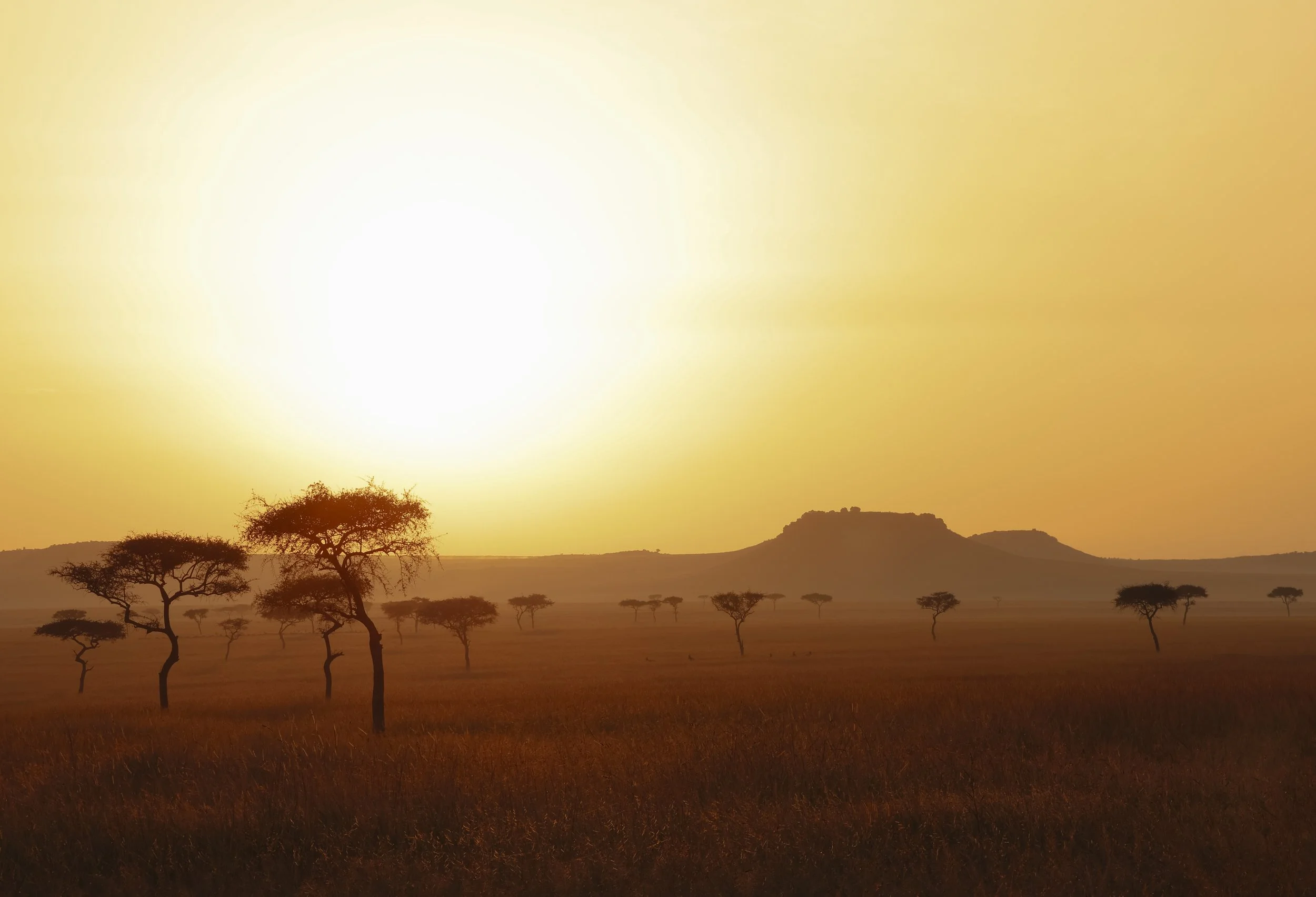 Africa Edits 2025-61.jpg