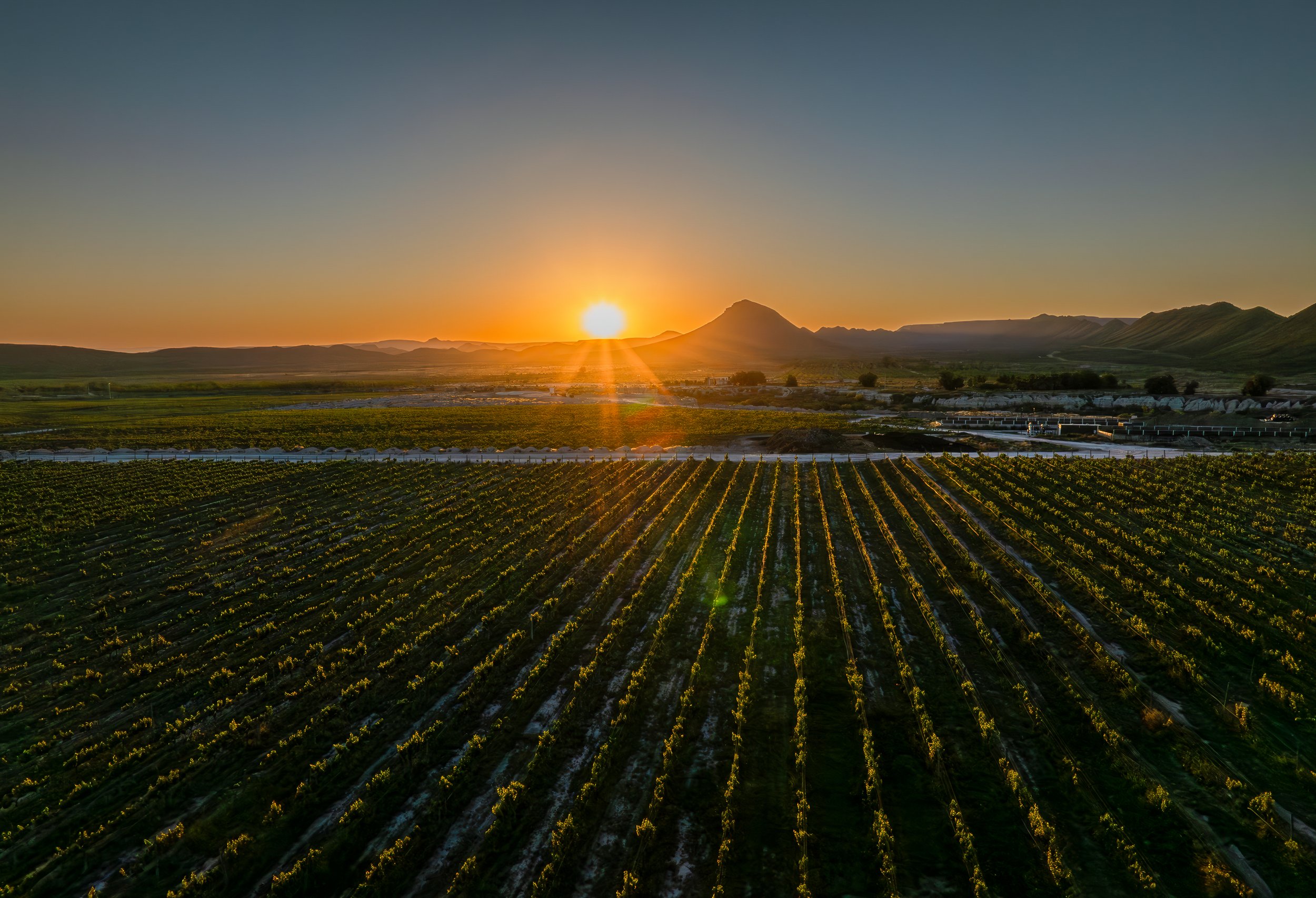 Parras_DJI_0263.jpg