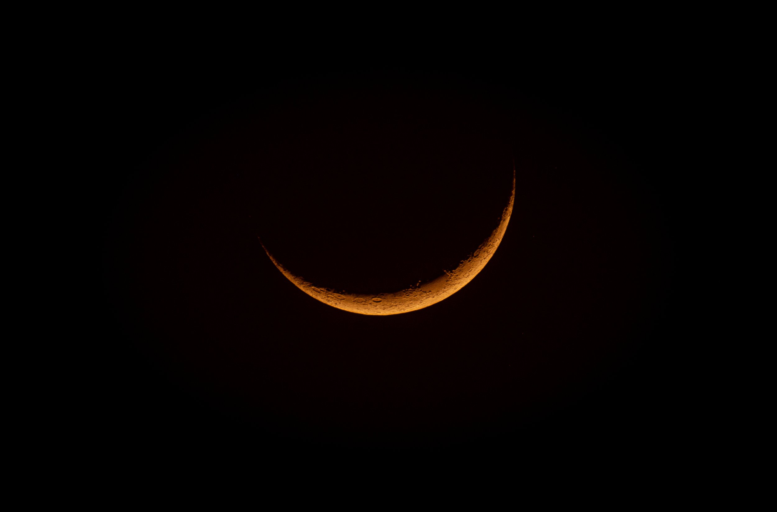 DSCF8445Luna.jpg