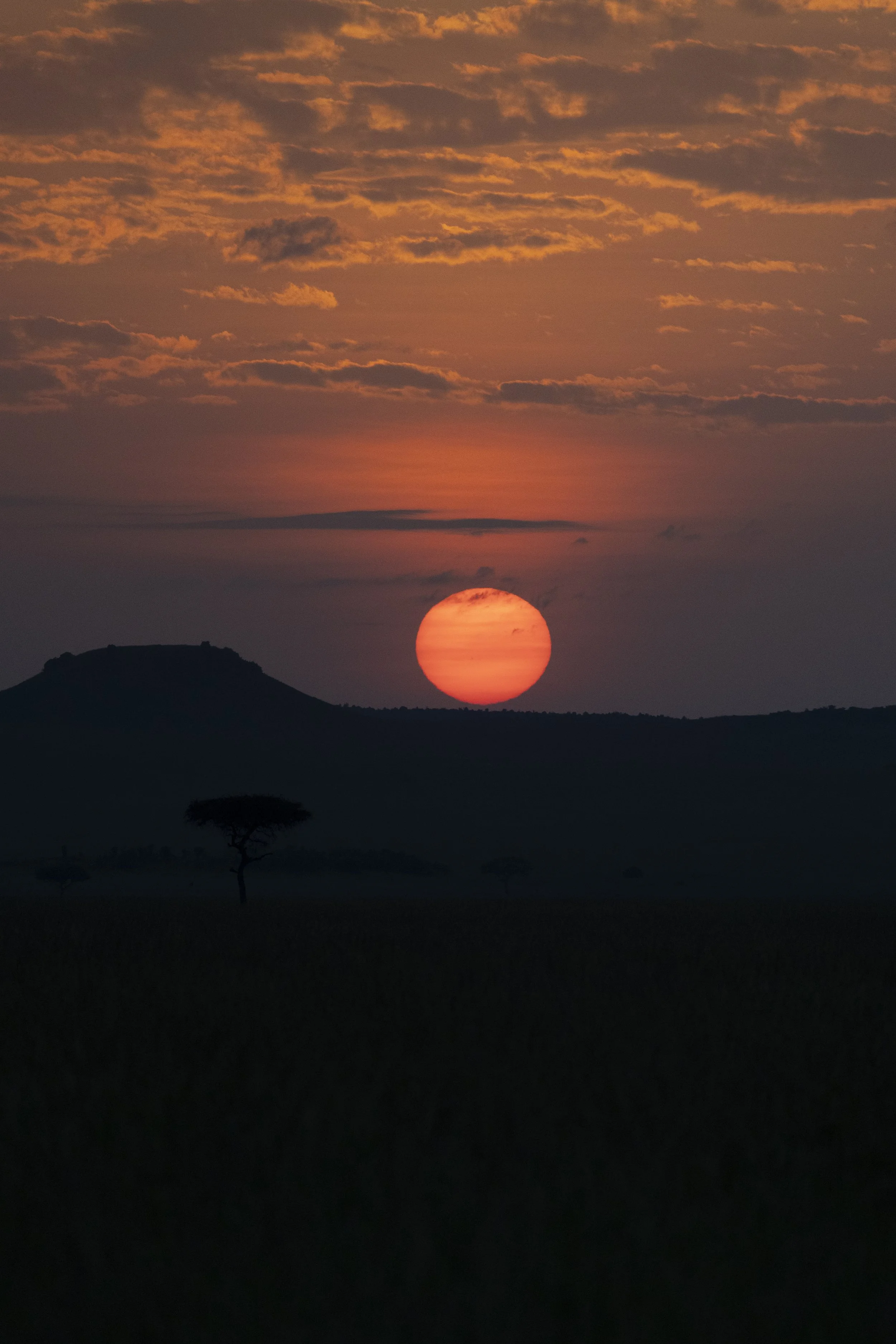 Africa Edits 2025-532.jpg