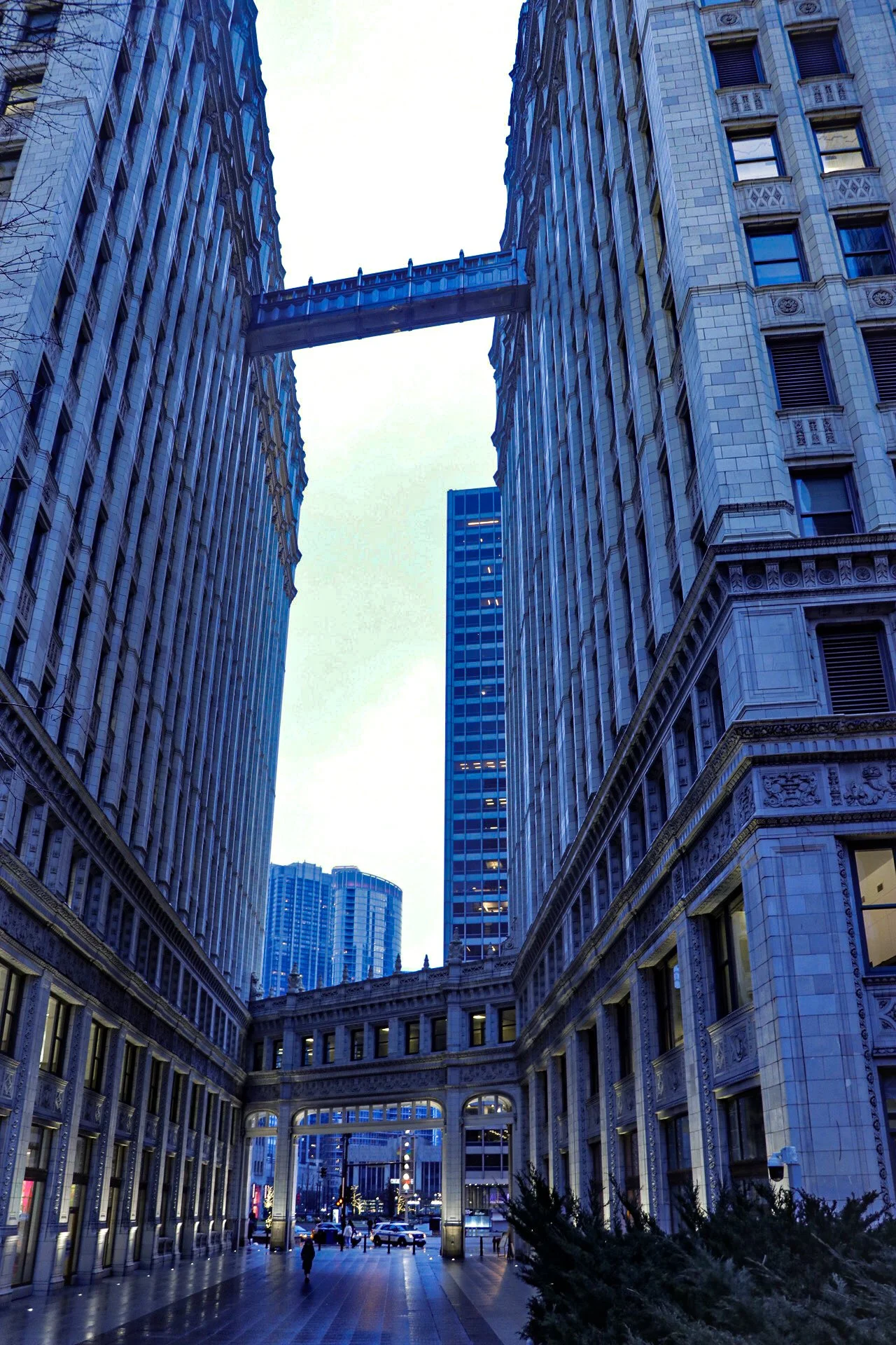 _MG_4274.jpg