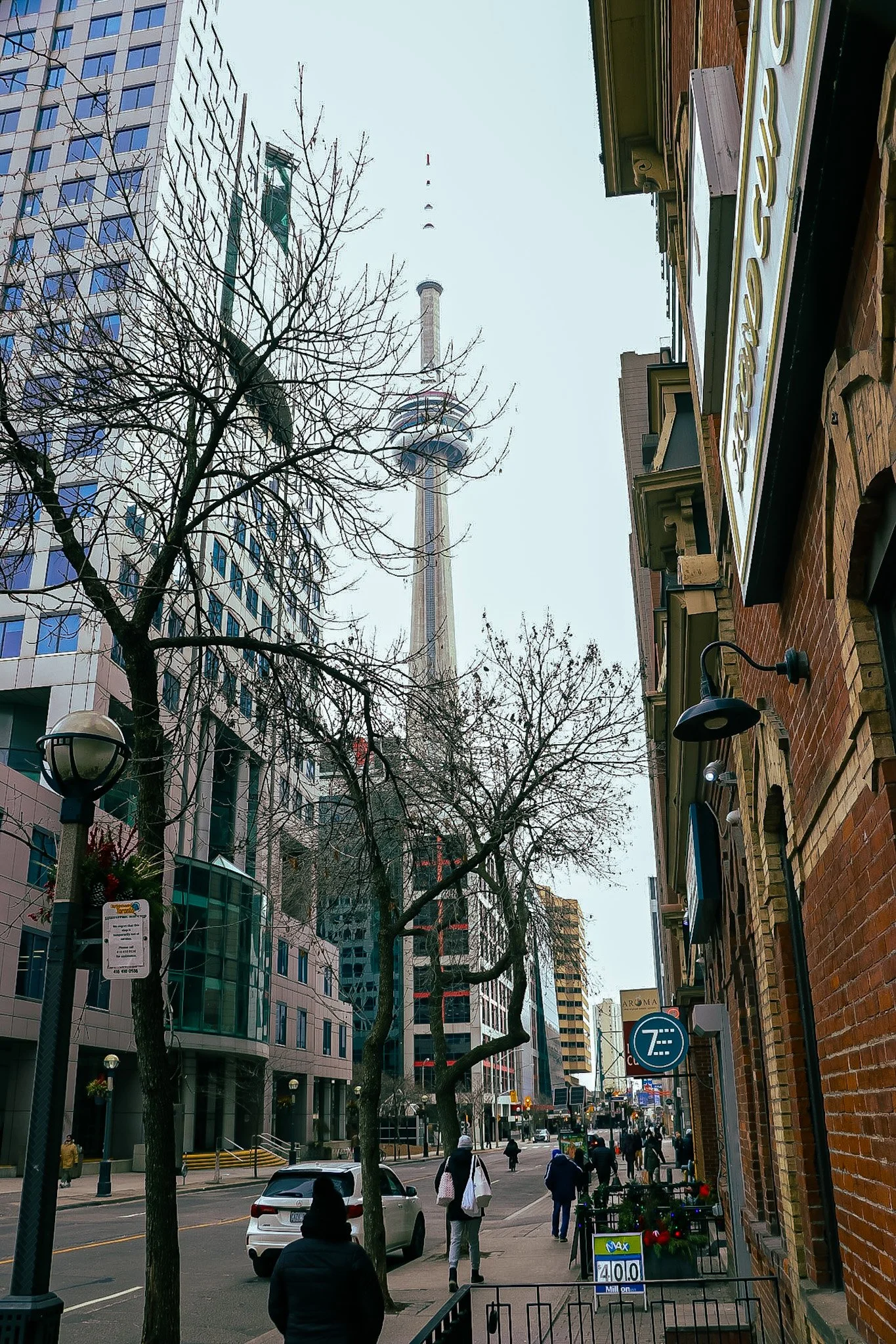 _MG_2788.JPG