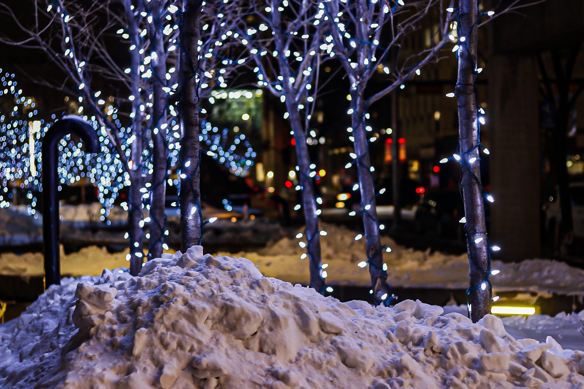 _MG_3346.JPG