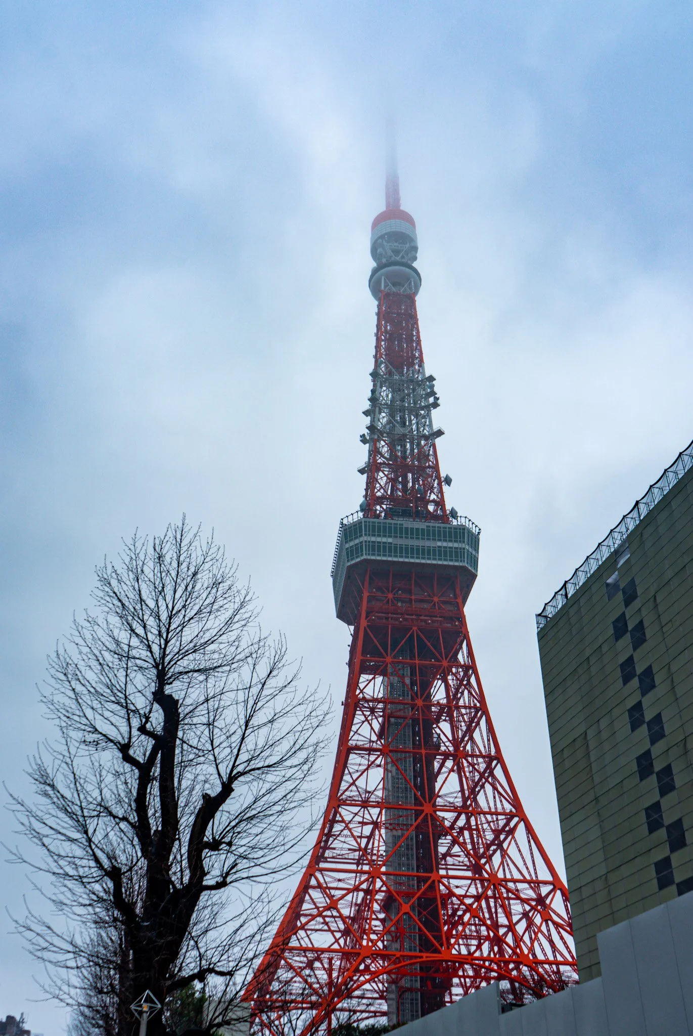 DSC03231.jpg