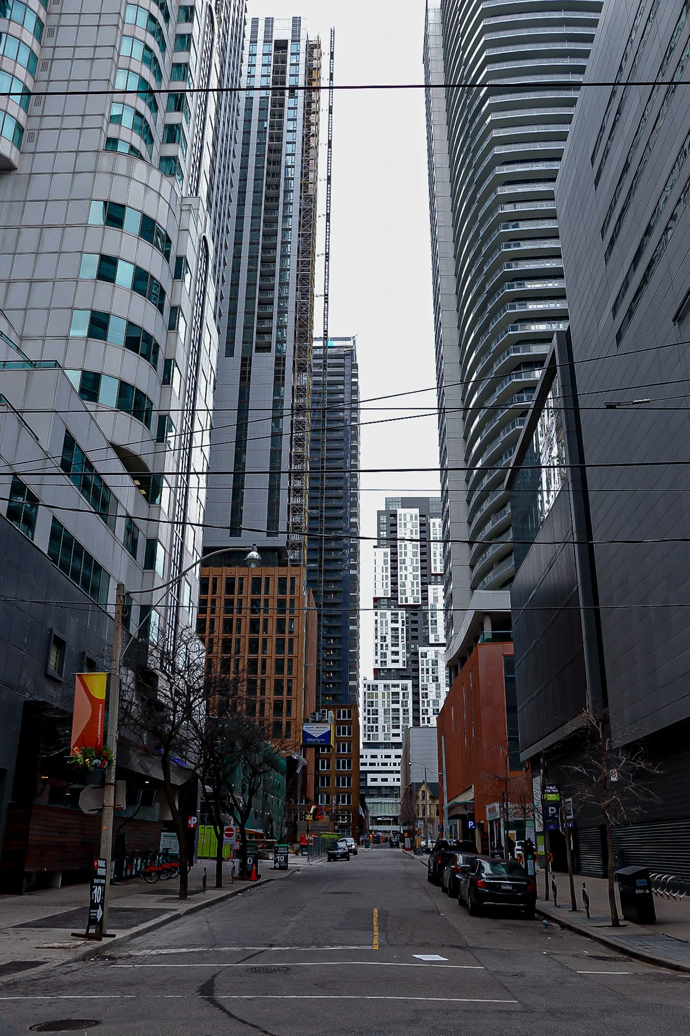 _MG_2787.JPG