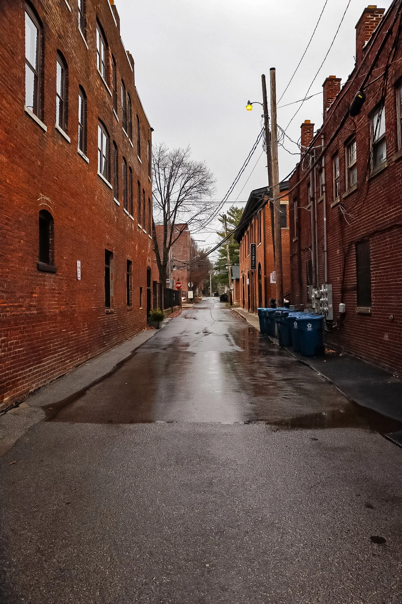 _MG_2119.jpeg