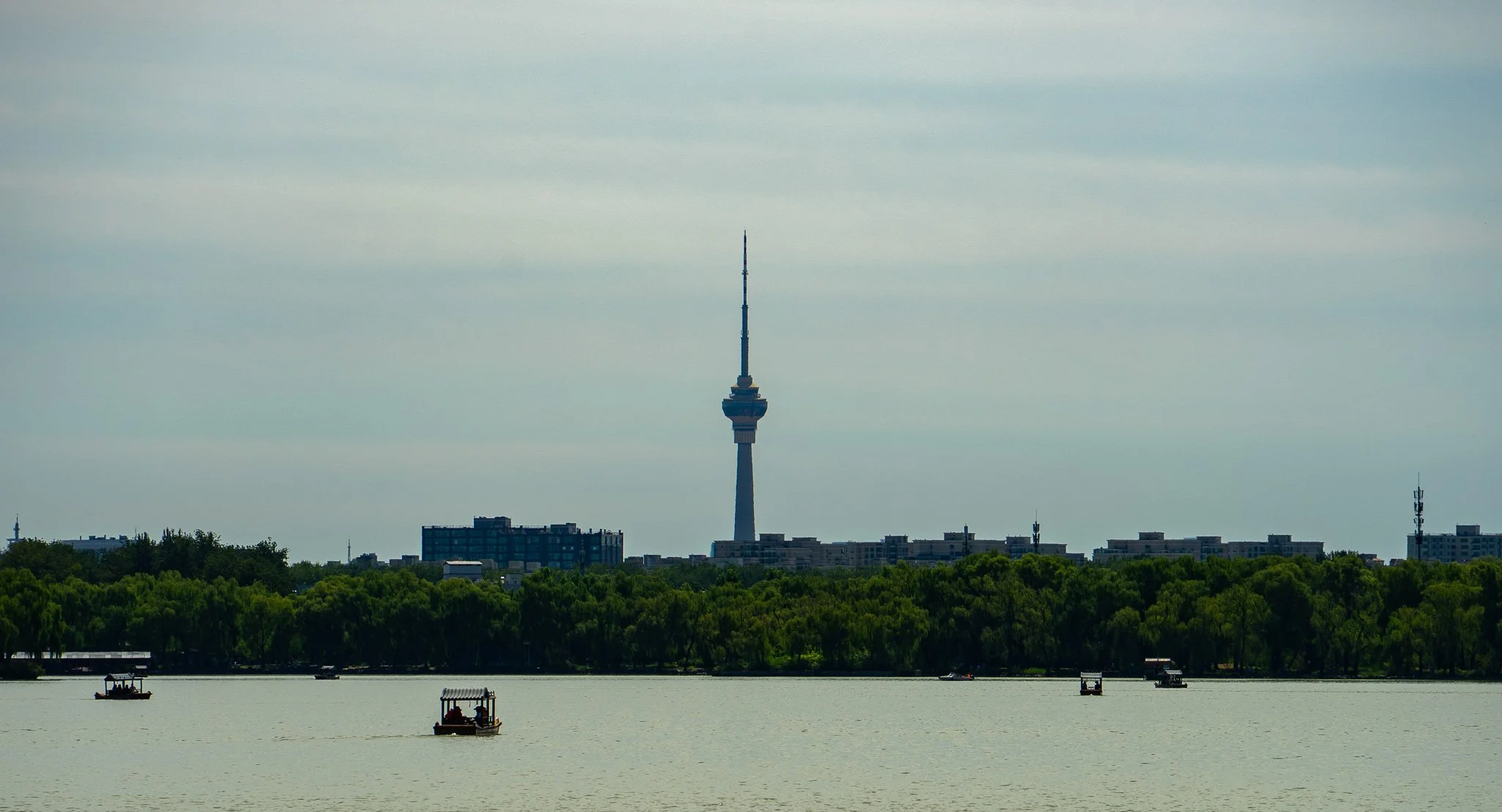 DSC09250.jpg
