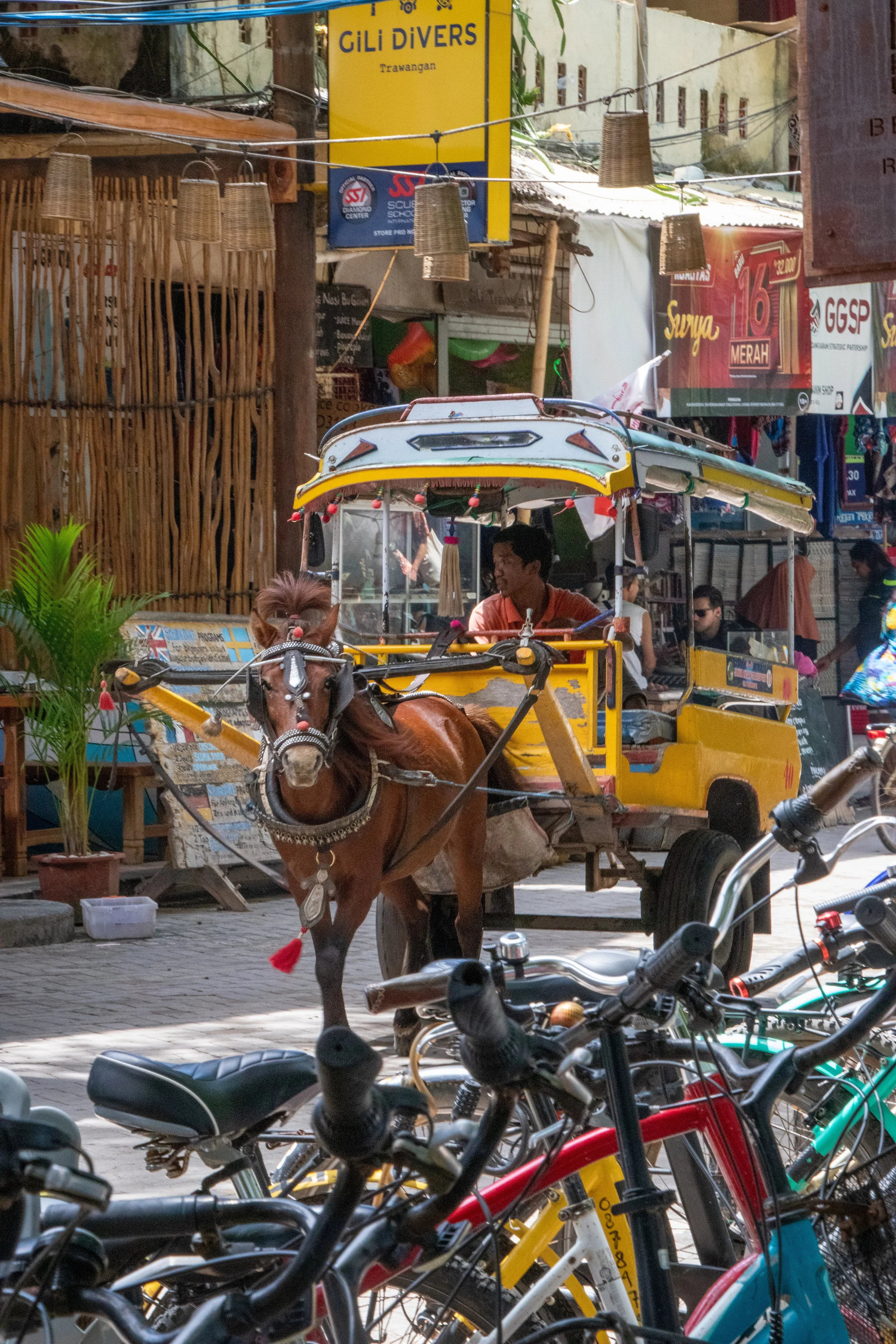 Horse drawn buggy
