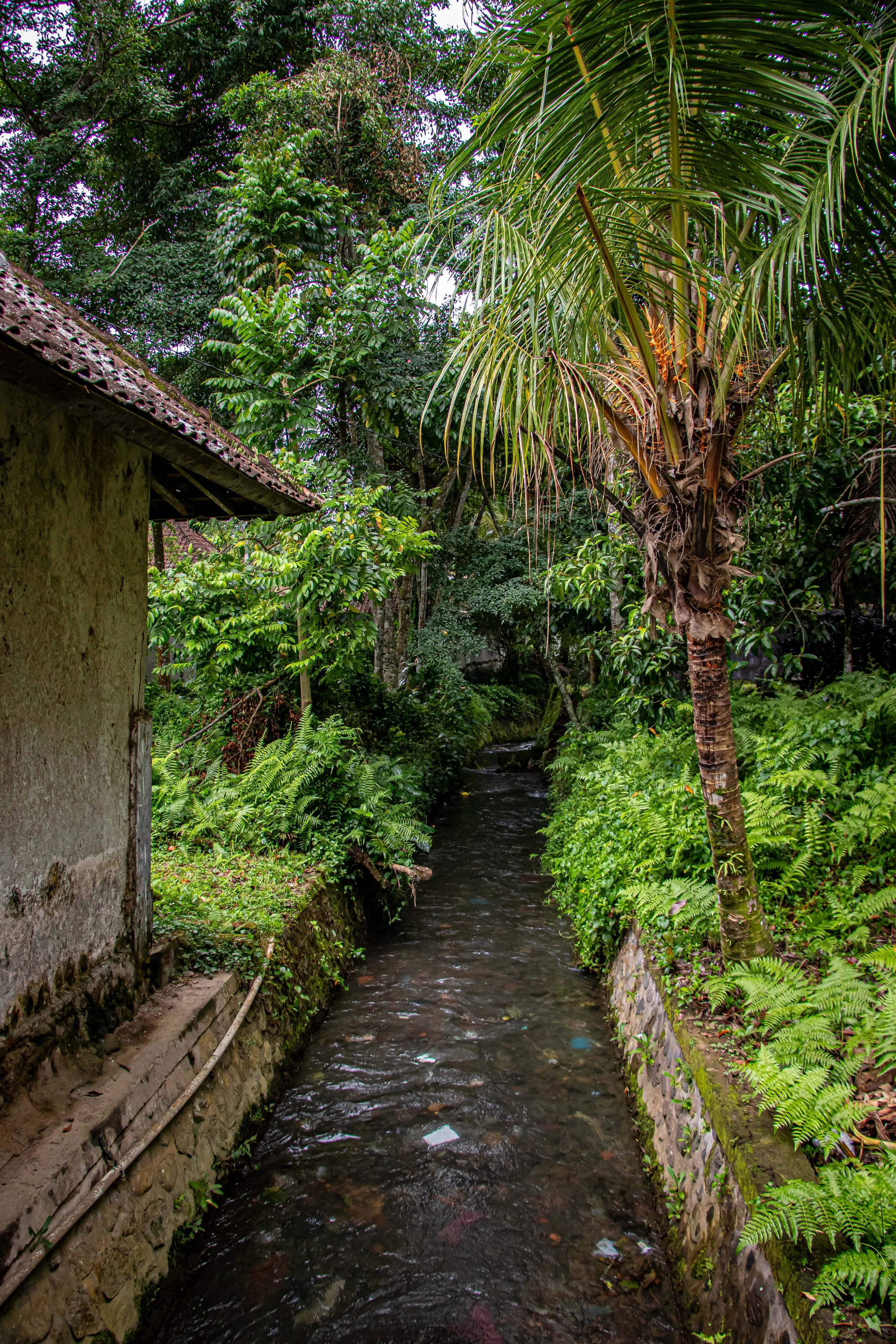 Water from Tirta Empul
