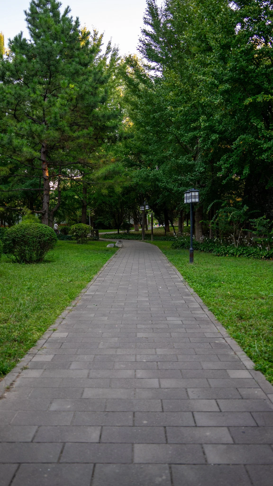 DSC09315.jpg