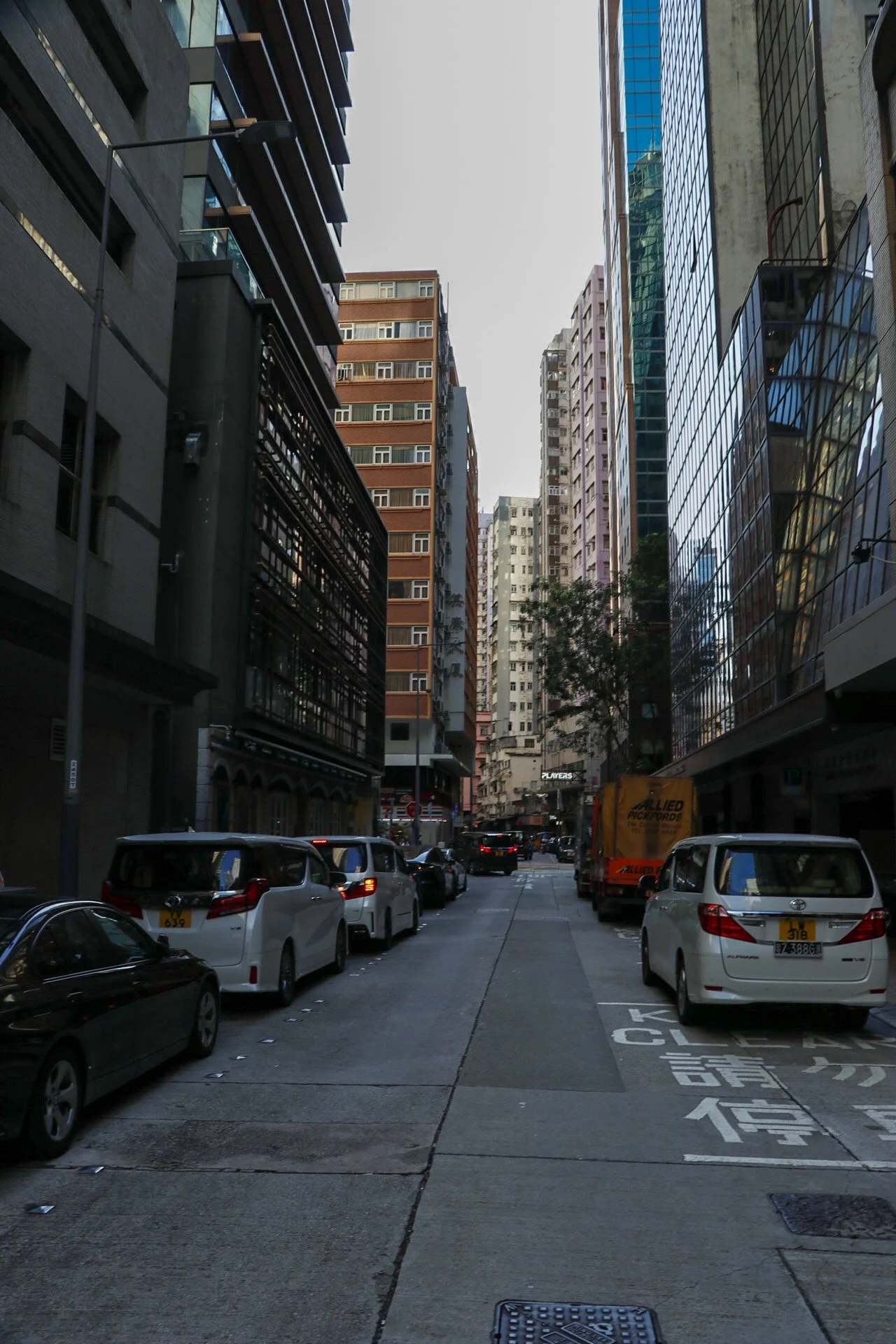 _MG_0951.jpeg