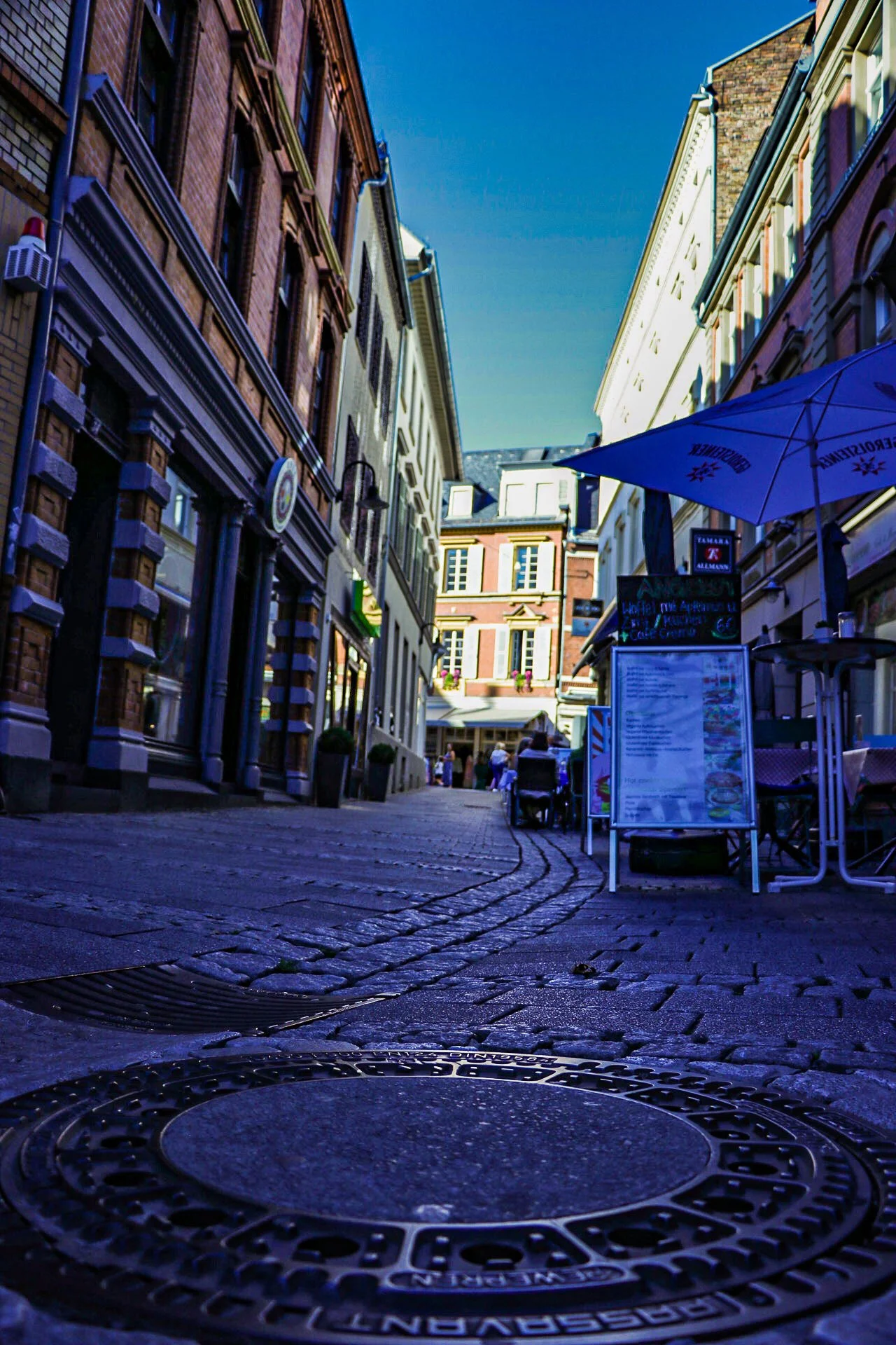 _MG_8560.jpg