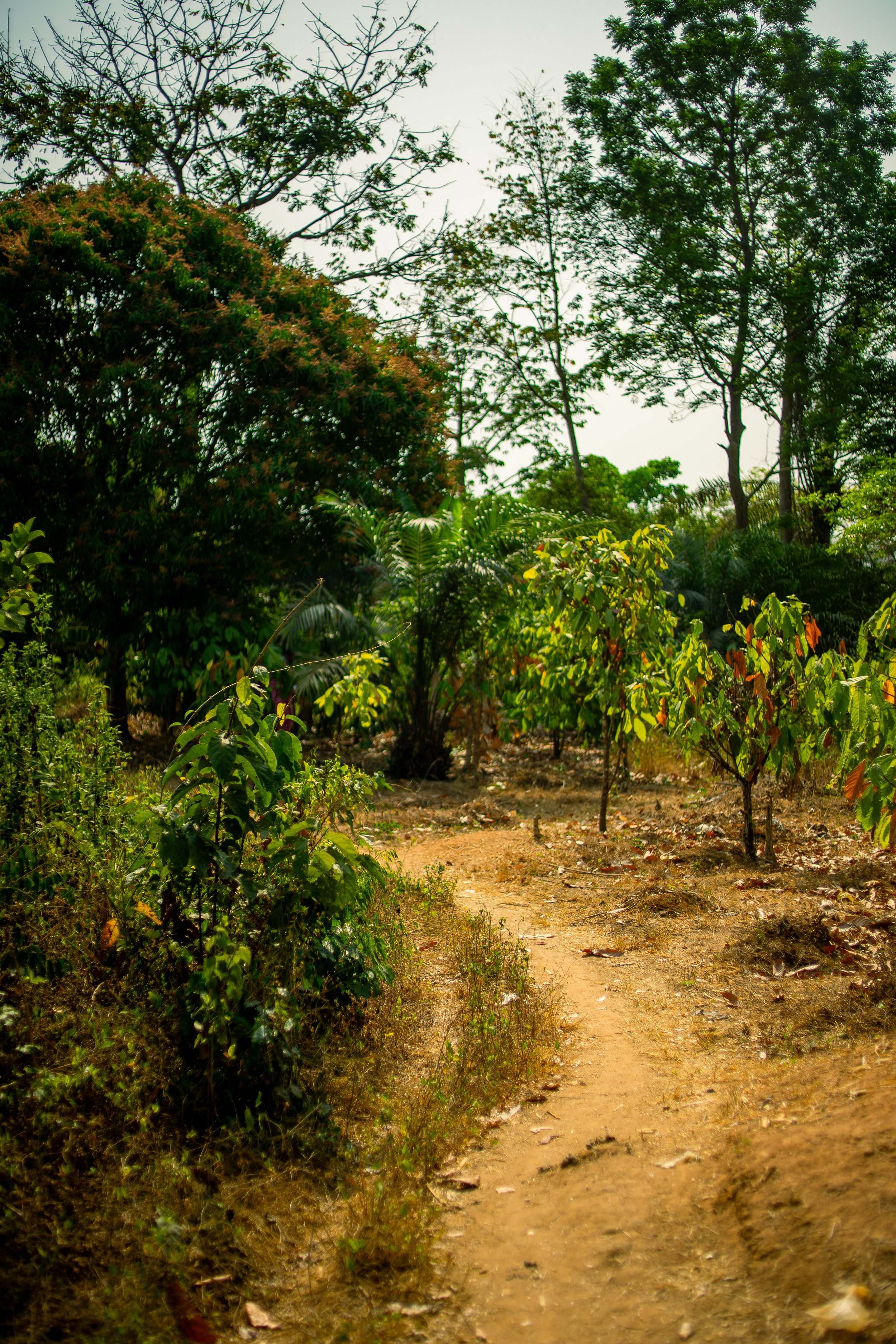 DSC08135.jpeg