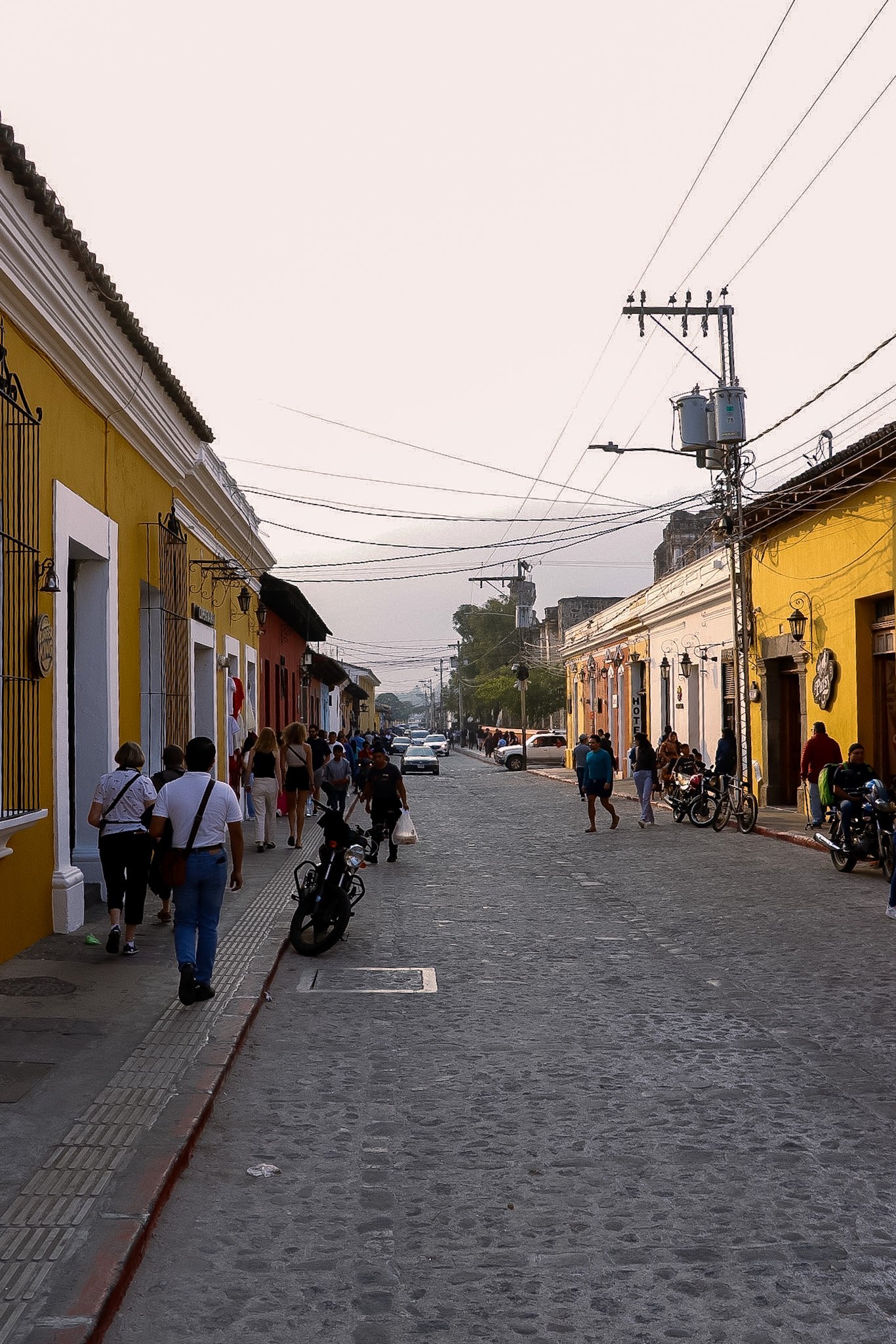 _MG_3077.JPG