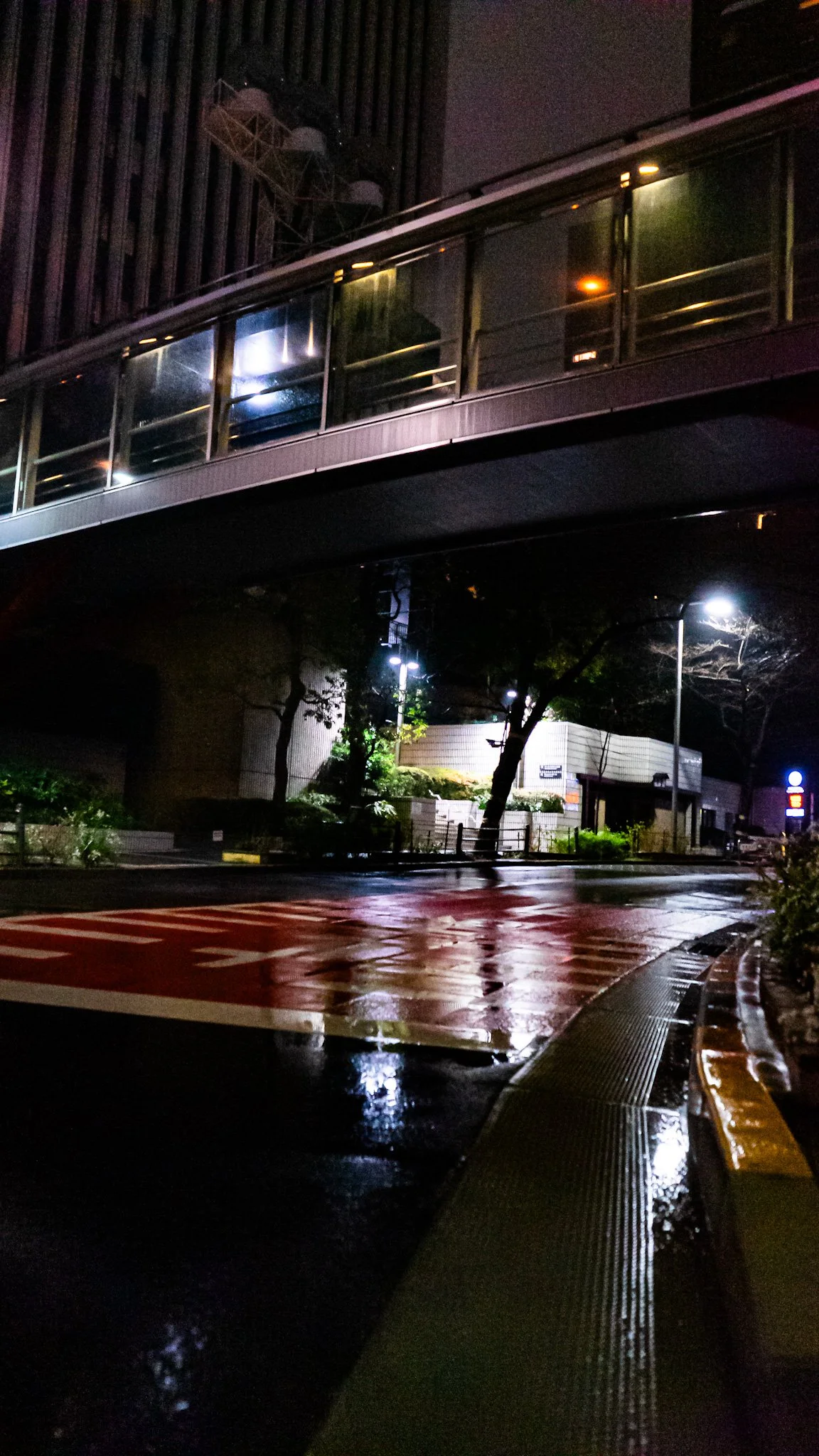 DSC03217.jpg