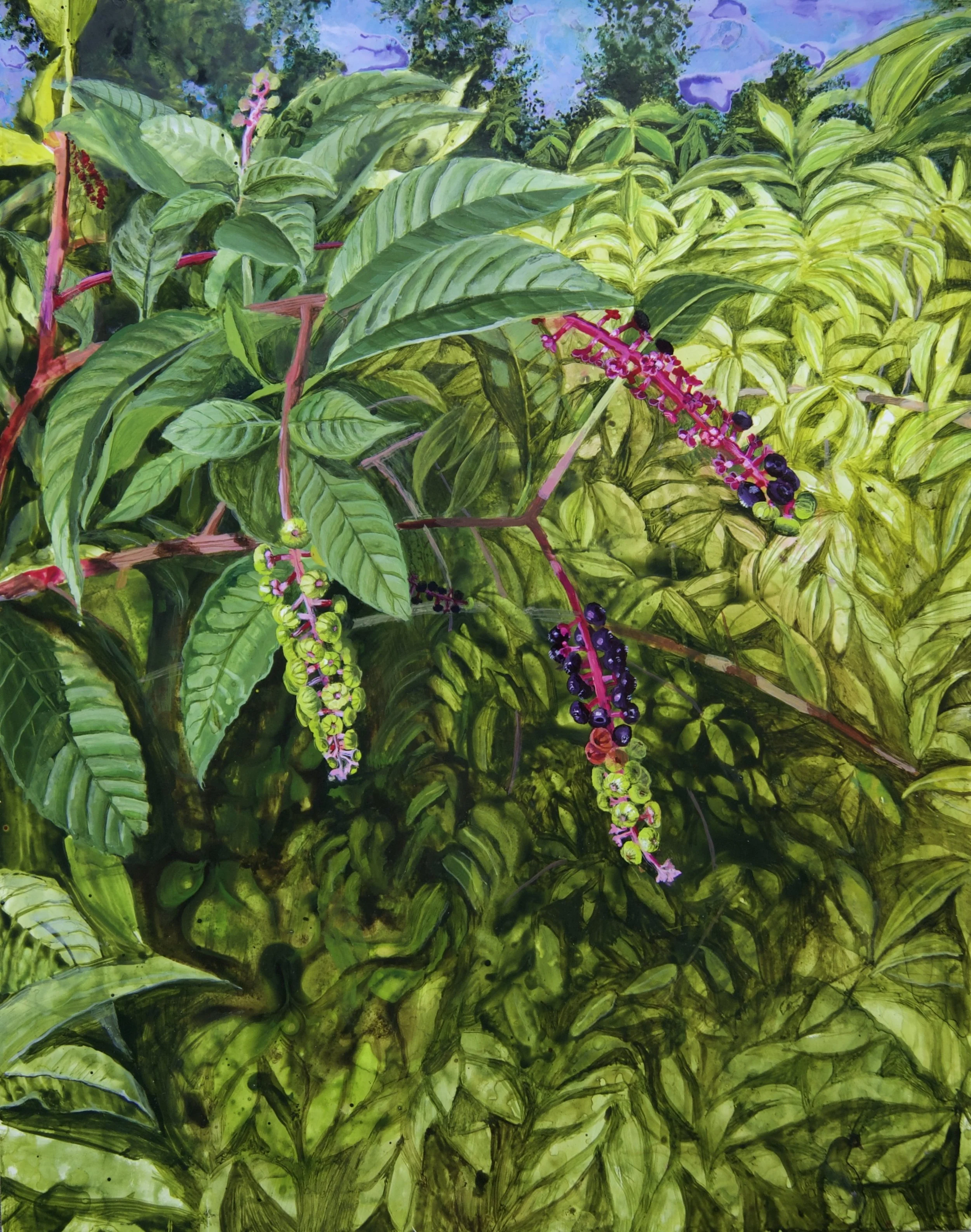 pokeweed.jpg