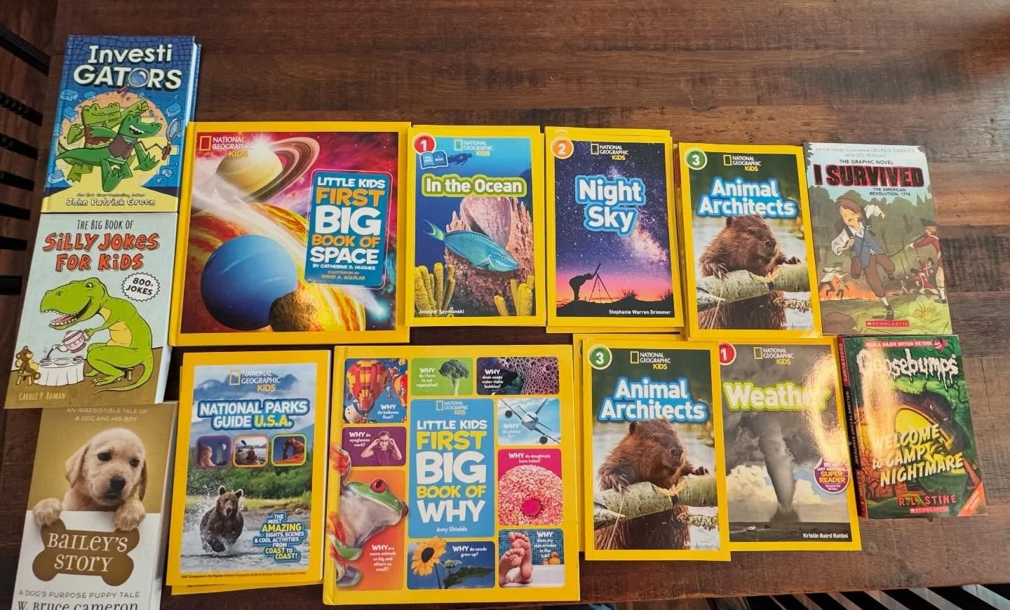 Thank you to our amazing friends from @altrusadistrict3virtualclub for hosting a book drive to fulfill our wish list! These are books students have specifically requested and they are going to be so excited to see them on our shelves.  We cannot wait