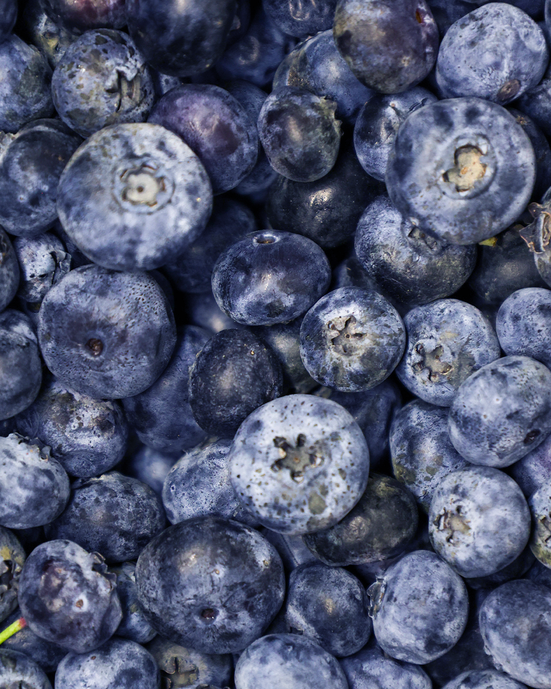 Blueberries.png