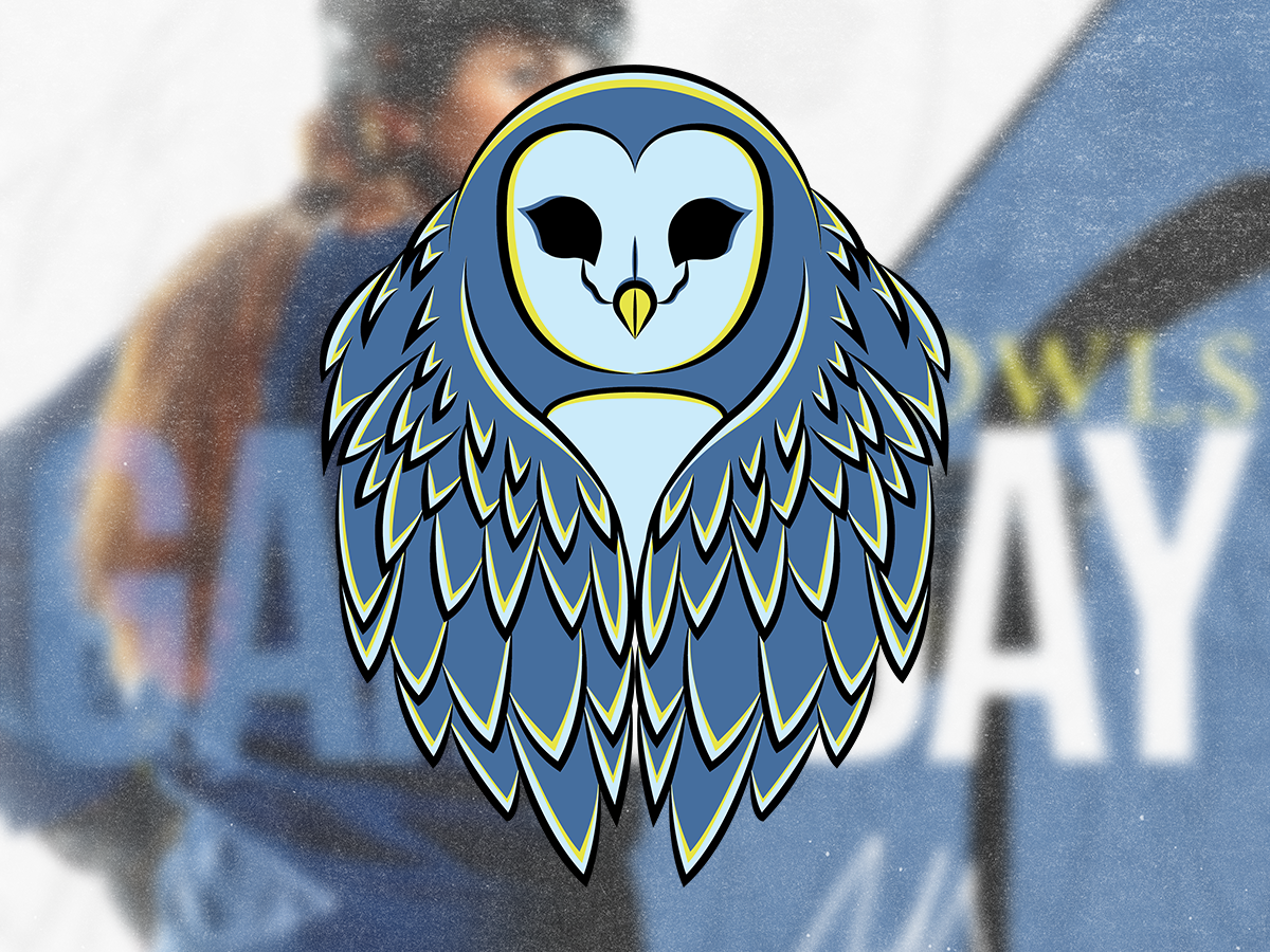 PWHL Iowa Ice Owls Brand Design