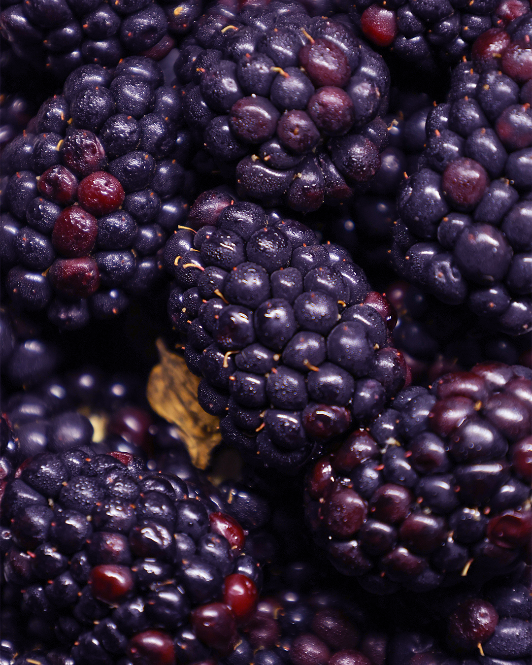 Blackberry.png