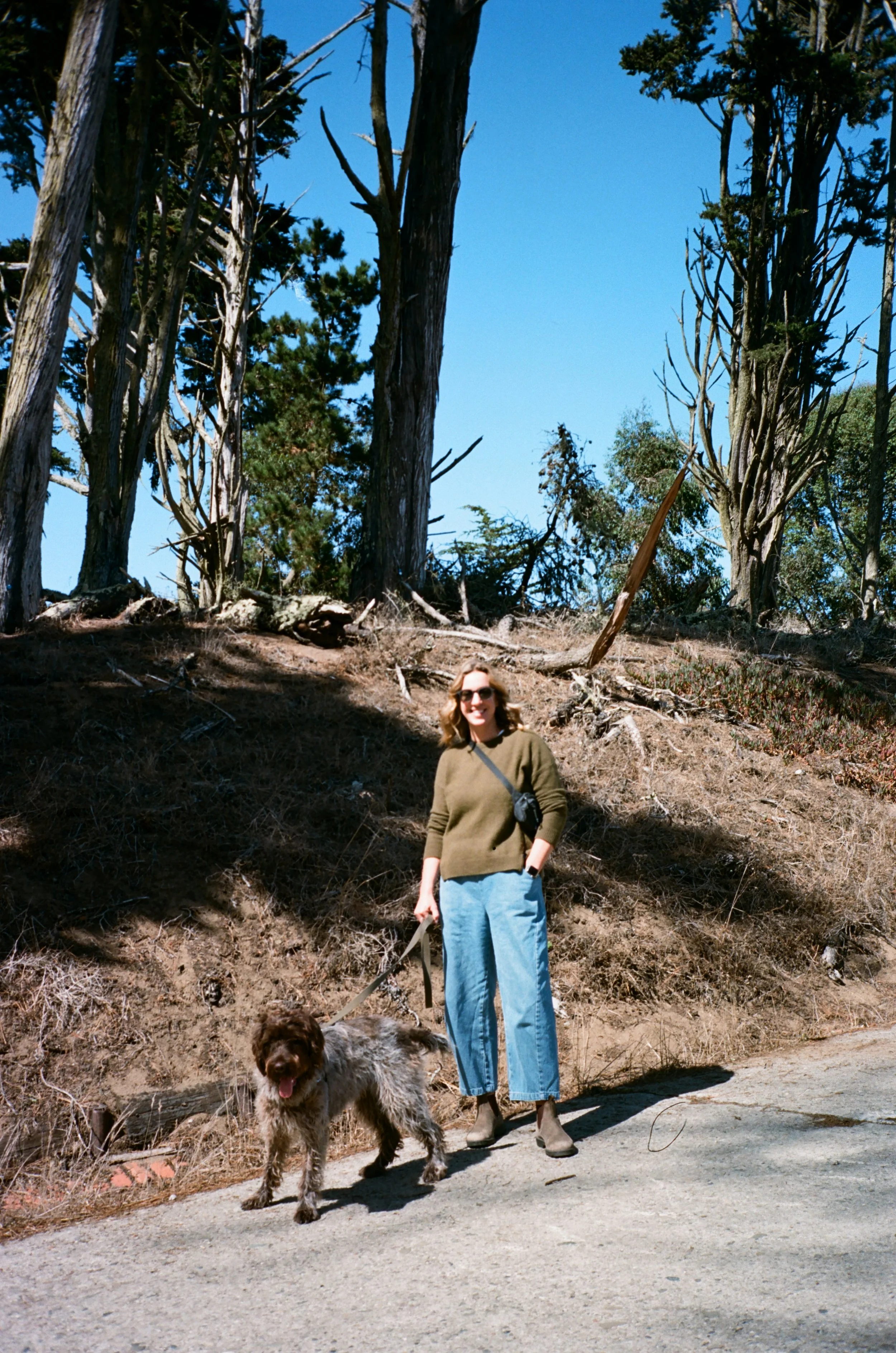 Woman with brown curly hair, sunglasses, olive green sweater, blue jeans, and tan boots walking a brown and gray dog on a leash along a dirt trail in a wooded area under a clear blue sky.