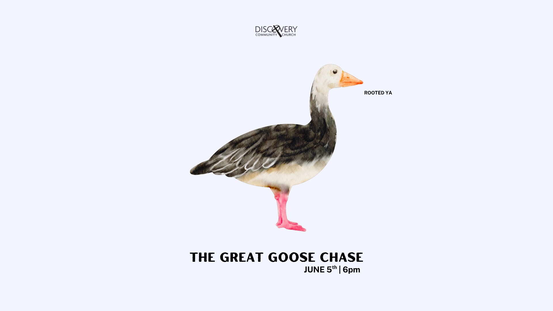 Rooted The Great Goose Chase