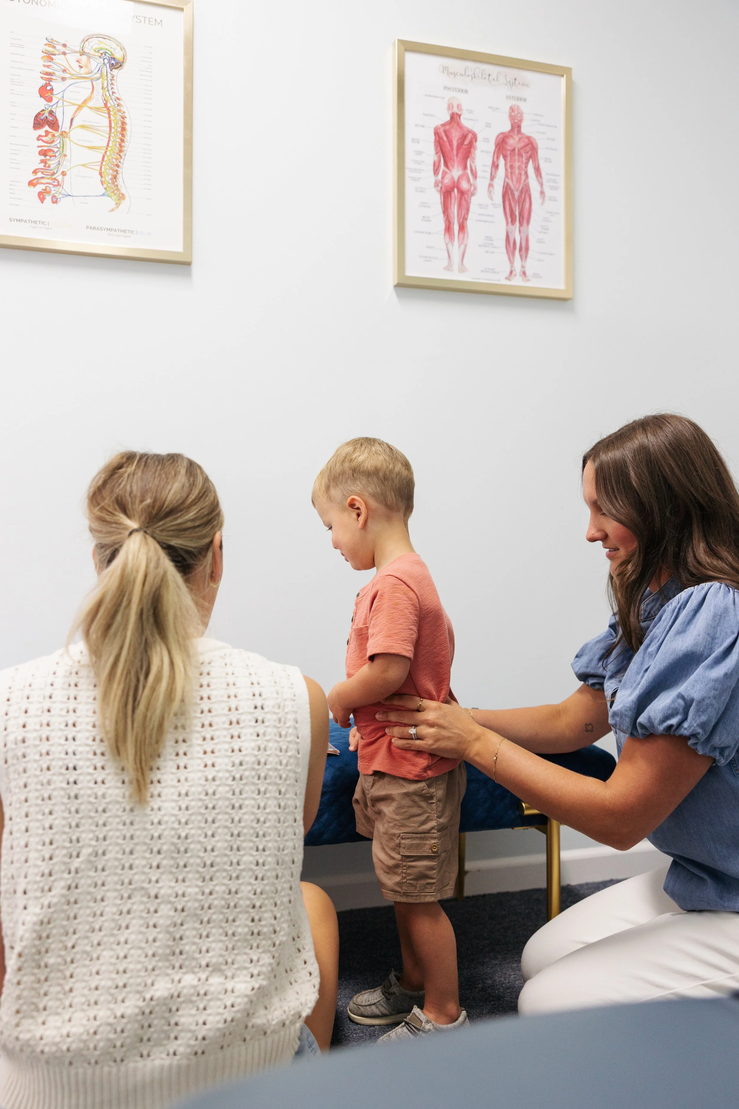 Understanding Whole Body Health and the Nervous System Connection