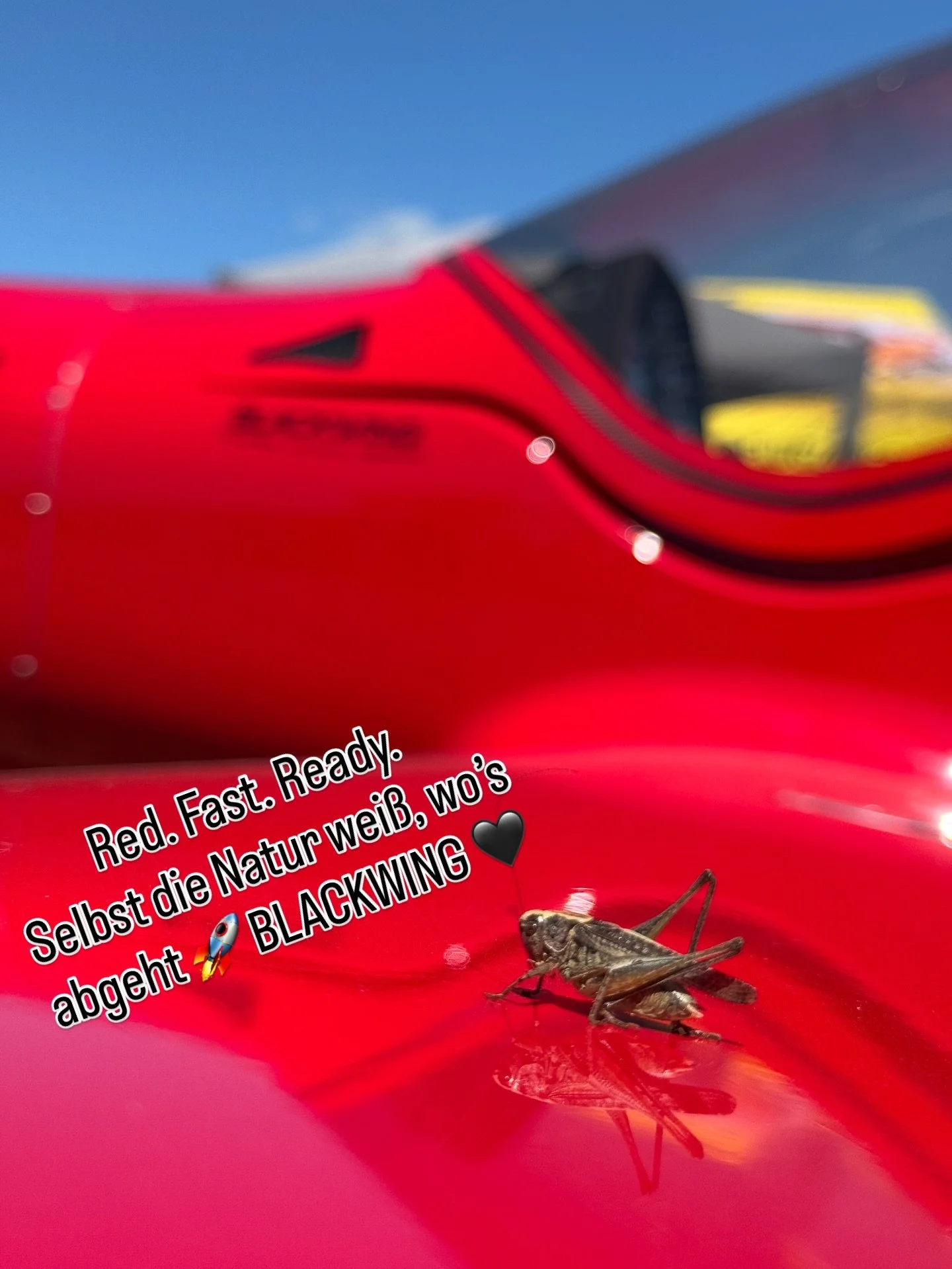 #blackwingsweden #zeitmaschine #pilot #ultralight #aviationlovers