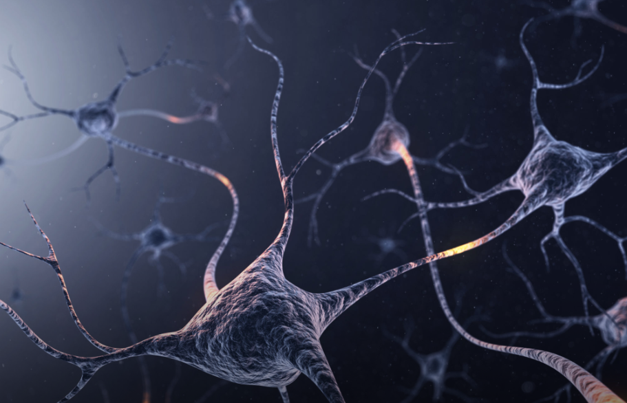 3D rendering of neurons connecting to each other.