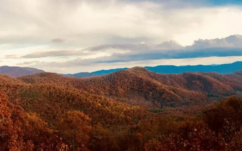 Image uploaded from iOS (7)_0.jpg