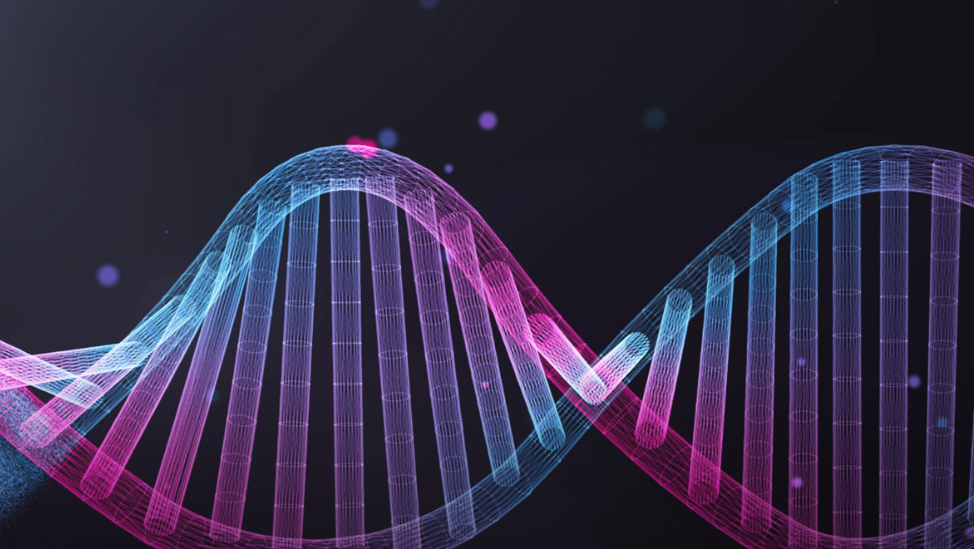 Double helix