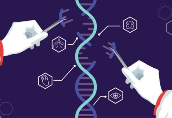 Diagram of hands with tweezers inserting pieces of DNA into a double helix.