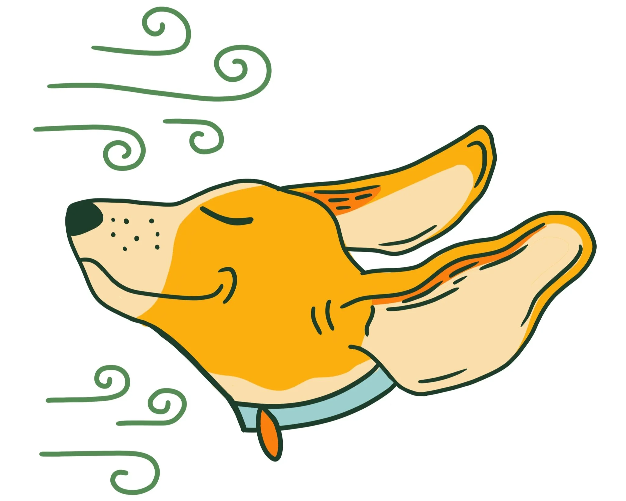 dog-boarding-in-central-ohio-joel-slaven-s-dog-lodge