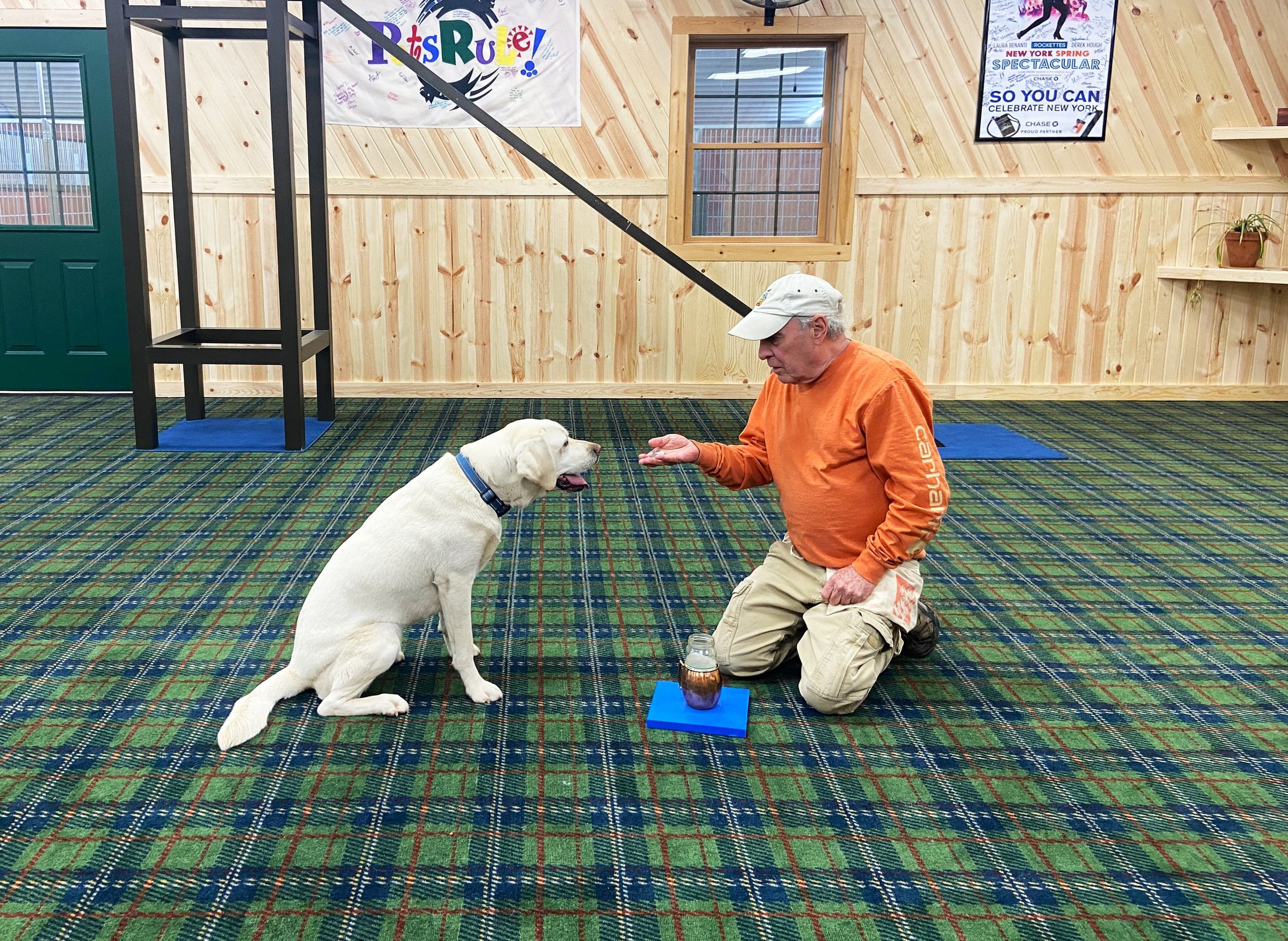 Personalized Dog Training in Central Ohio Joel Slaven's Dog Lodge