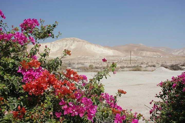 «&nbsp;Si tu es Fils de Dieu…&nbsp;» Mt 4, 3