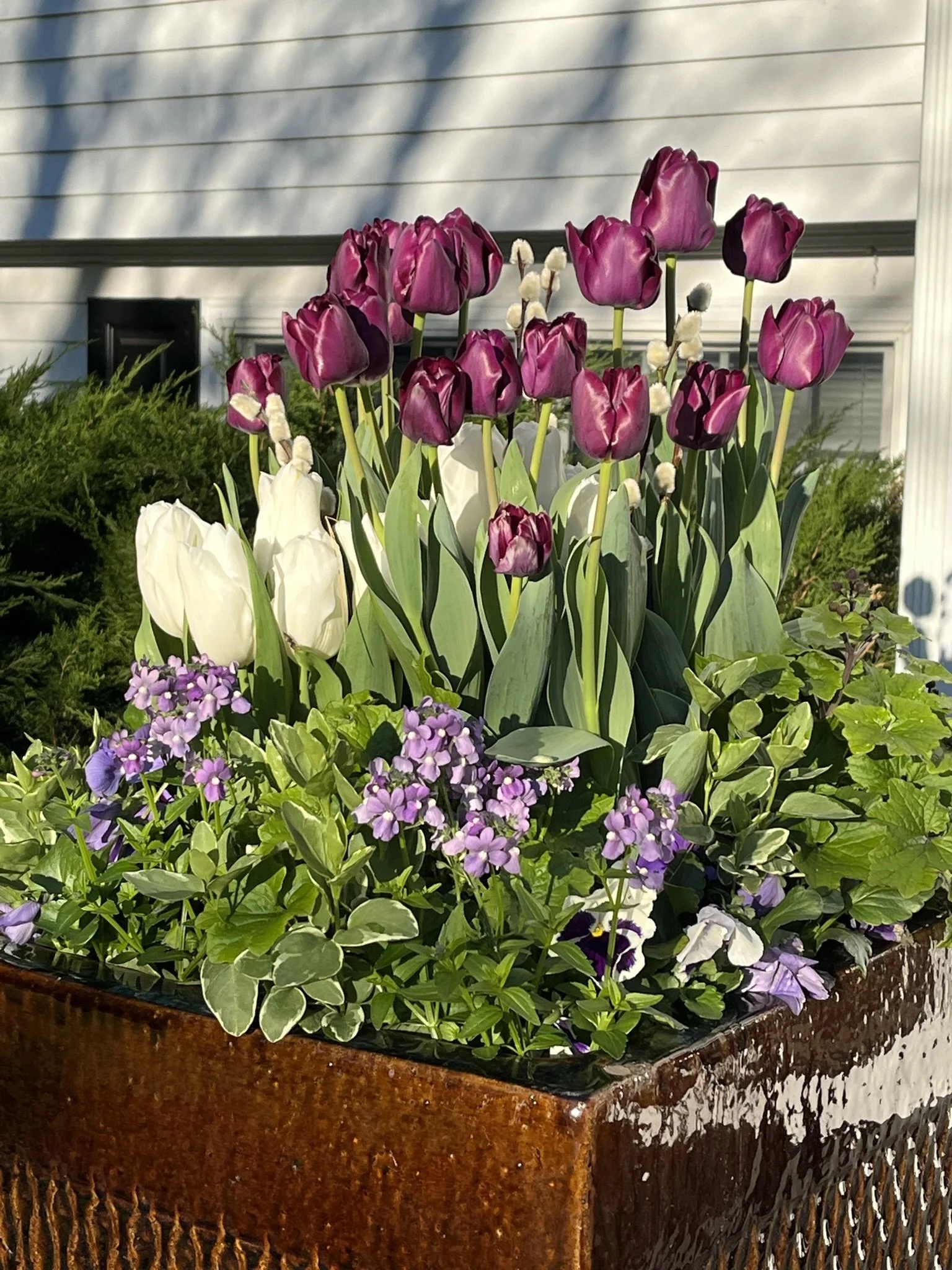 Spring