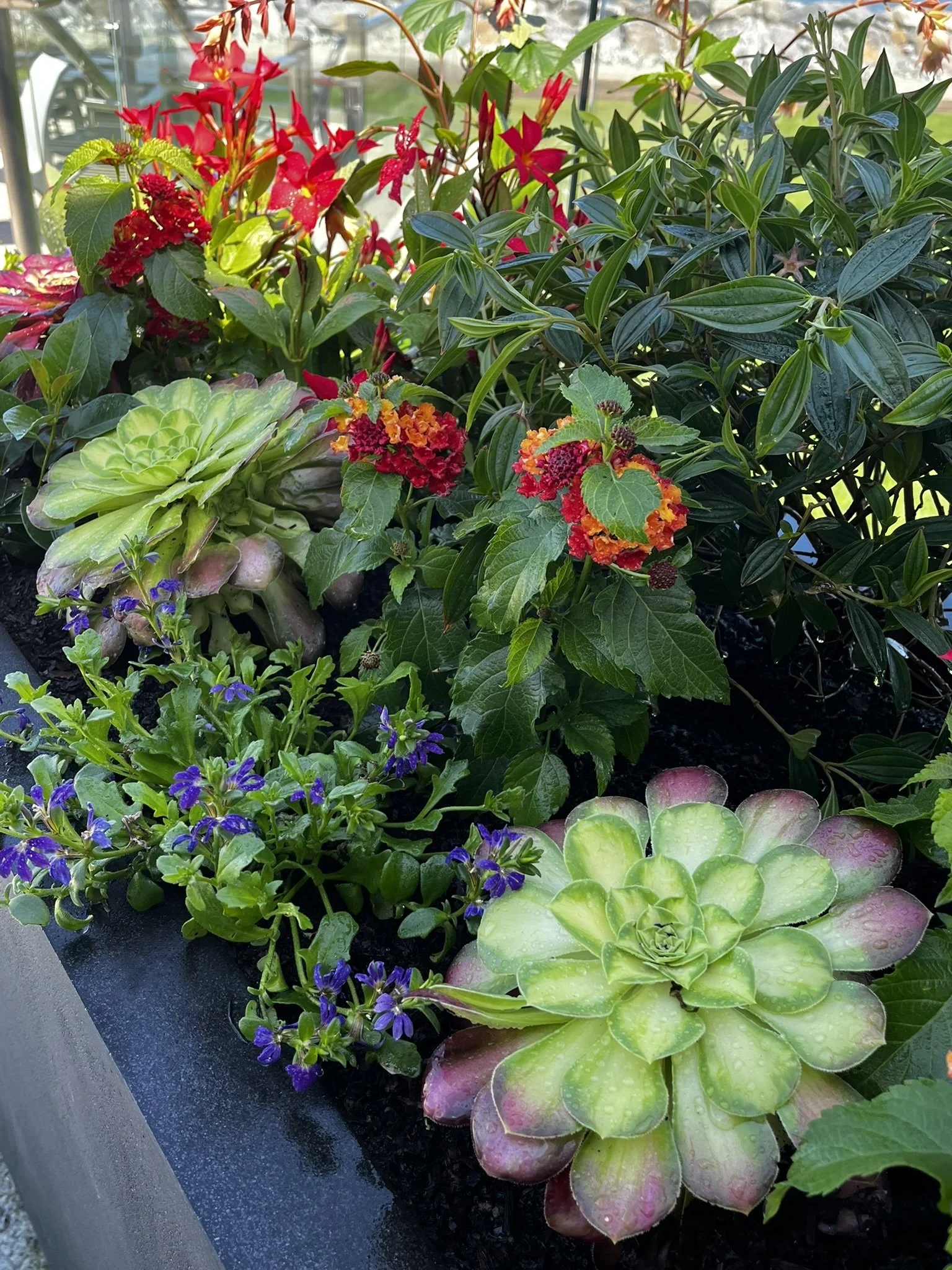 9-IMG_7944.jpg