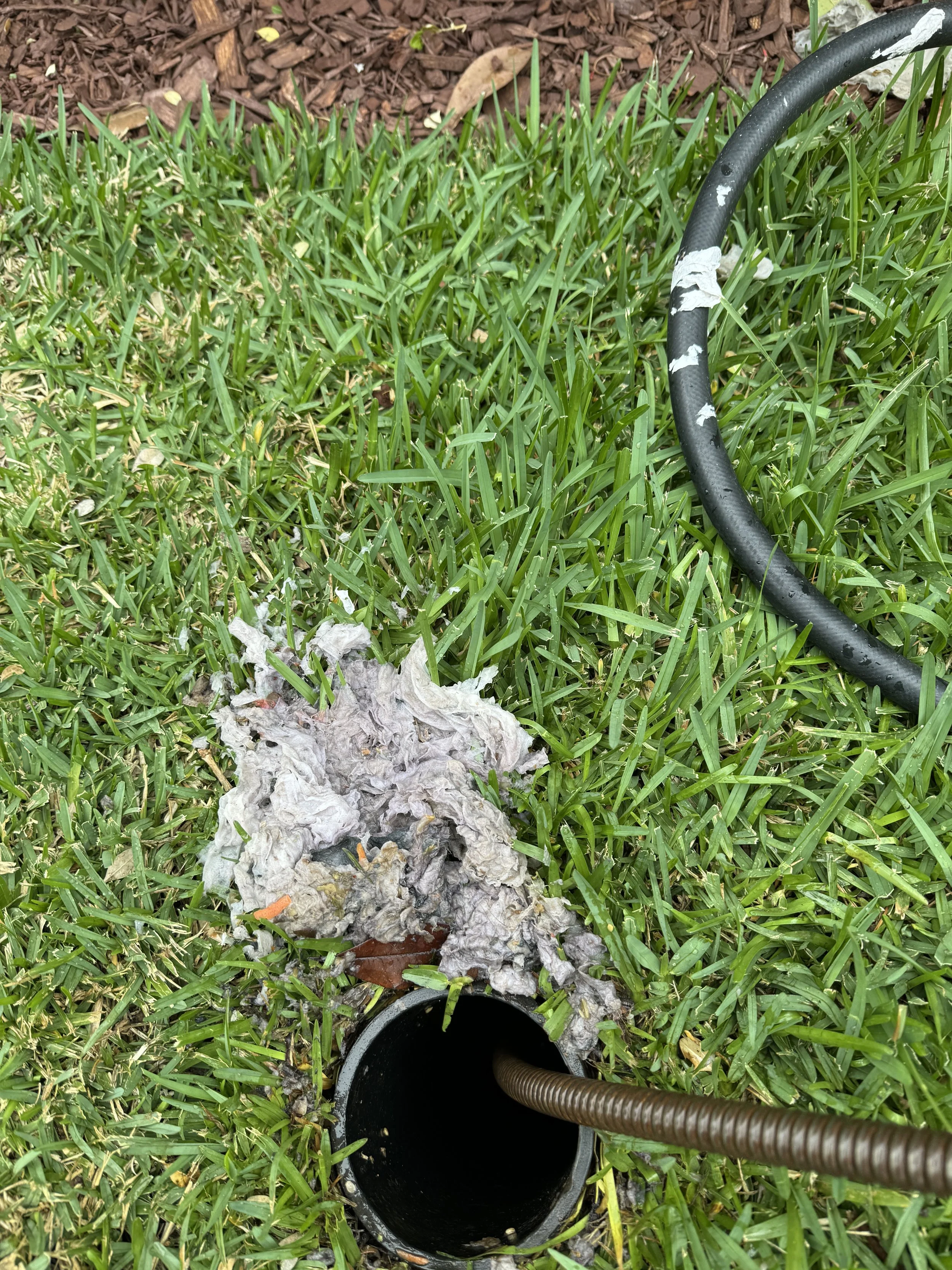 Toilet paper does did not dissolve, heavy ply or brands like Charmin and Scott tend to cause issues for new or old drains. 