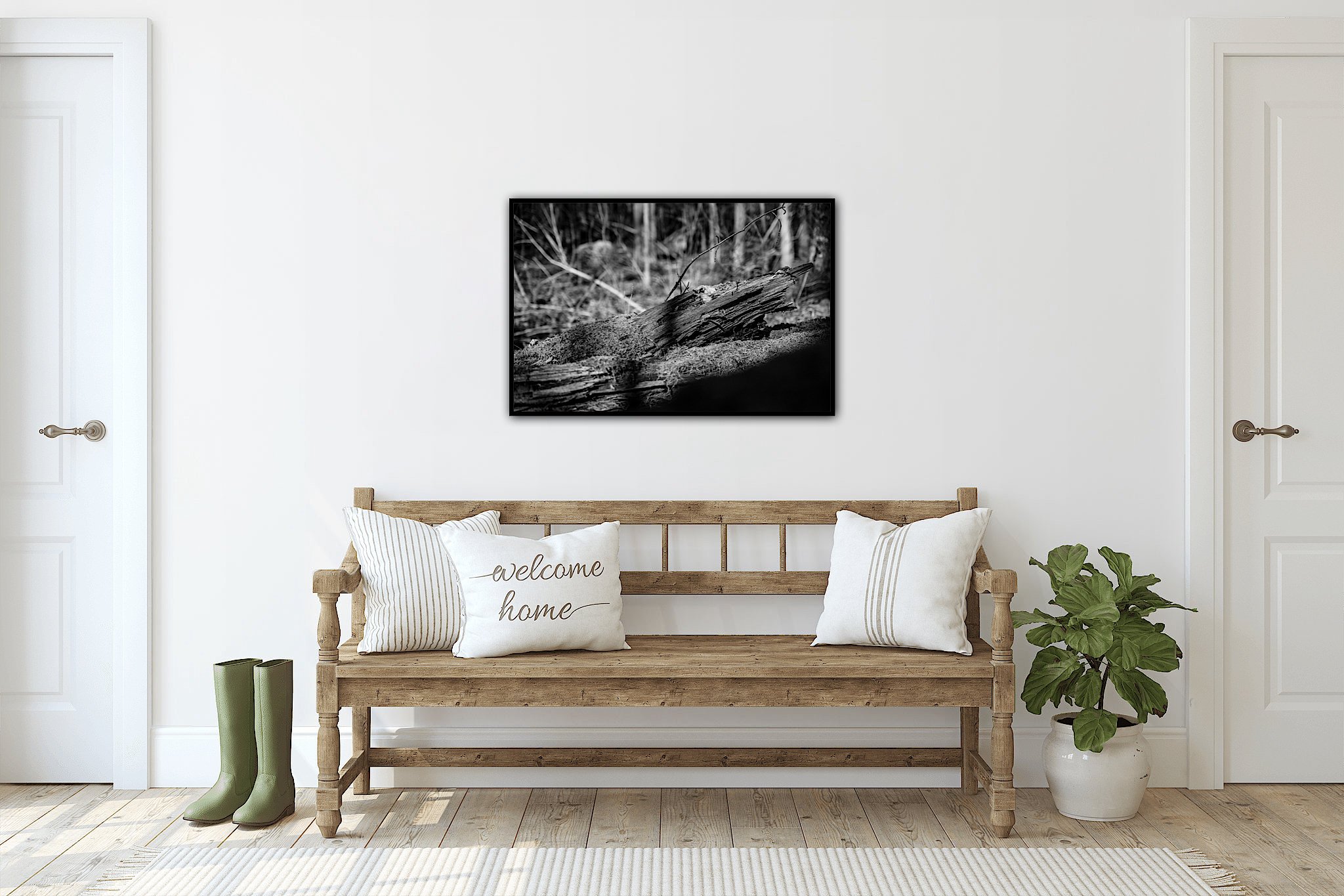 https://i.etsystatic.com/40900143/r/il/d76f70/5830993362/il_fullxfull.5830993362_mmb6.jpg