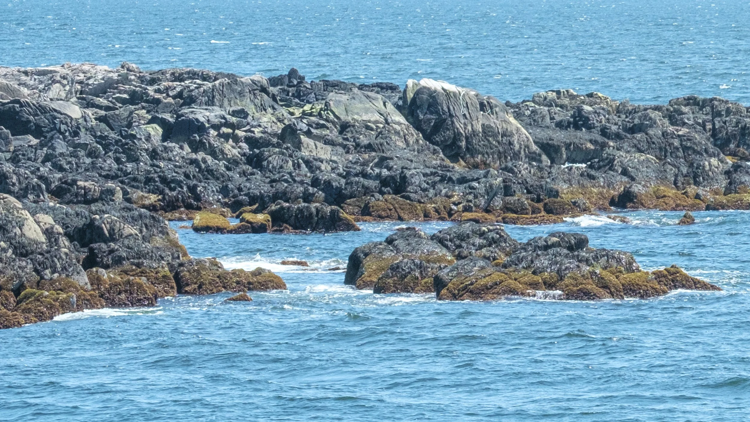 DSCF5145.jpg