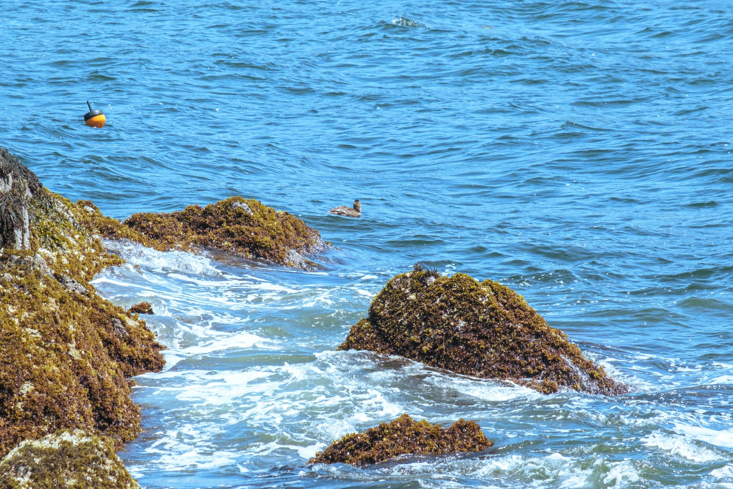 DSCF5150.jpg