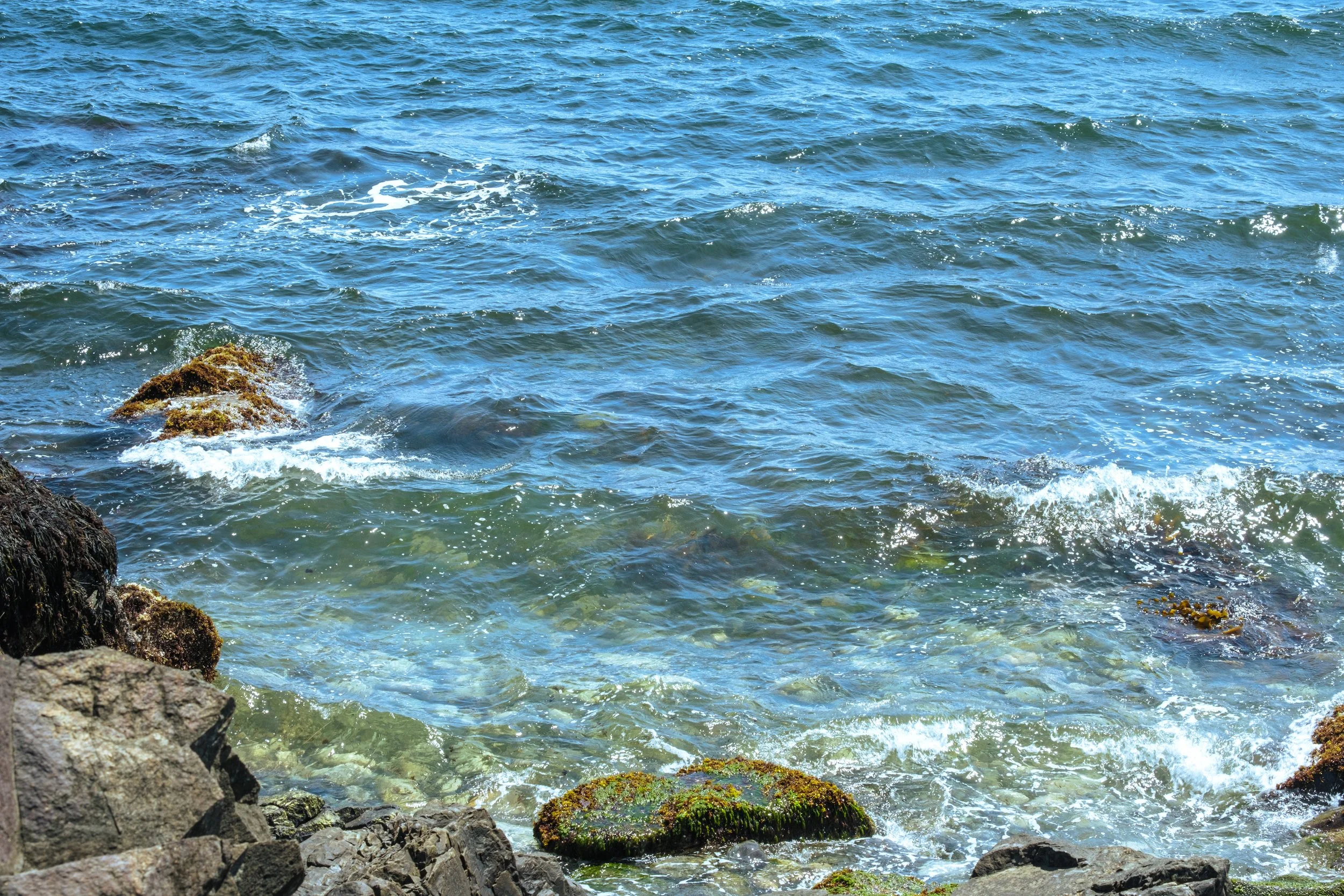 DSCF5170.jpg