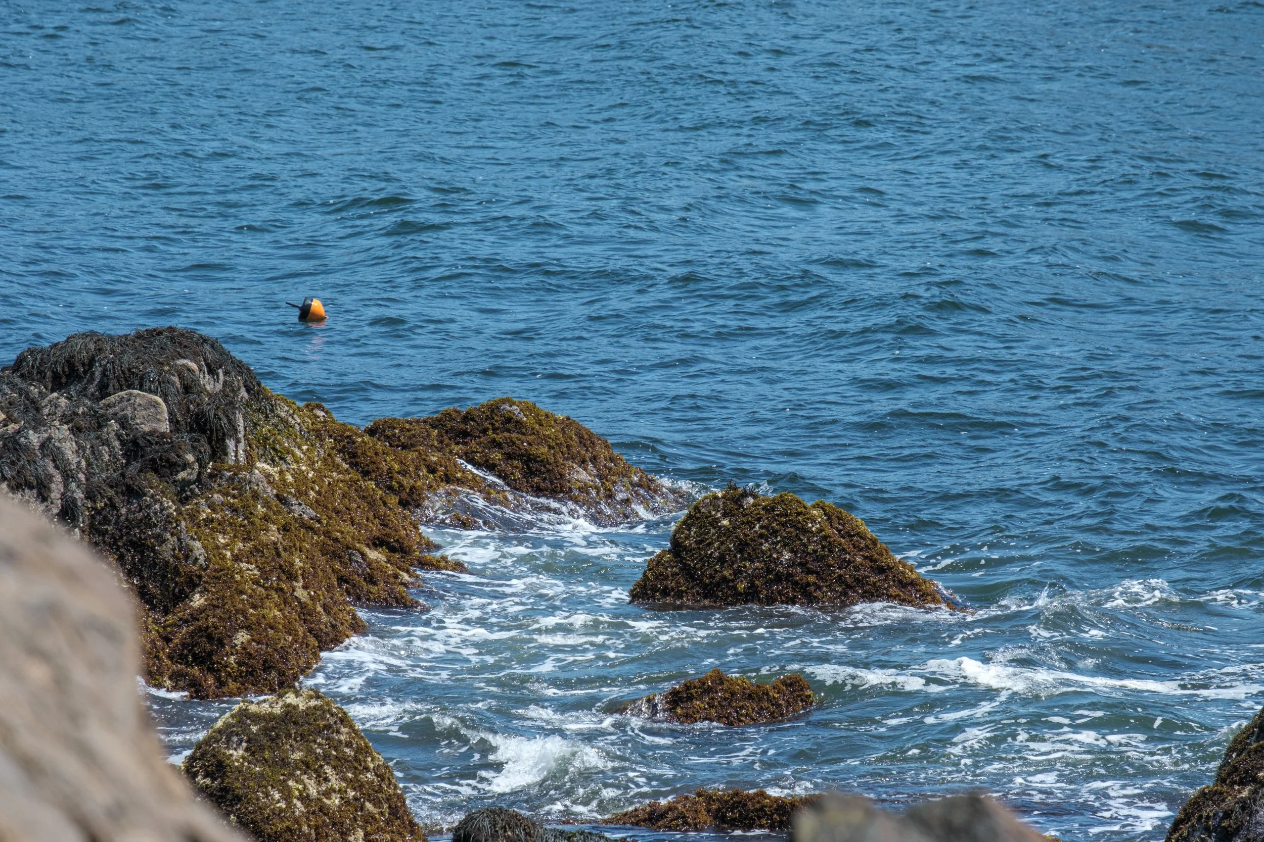 DSCF5153.jpg